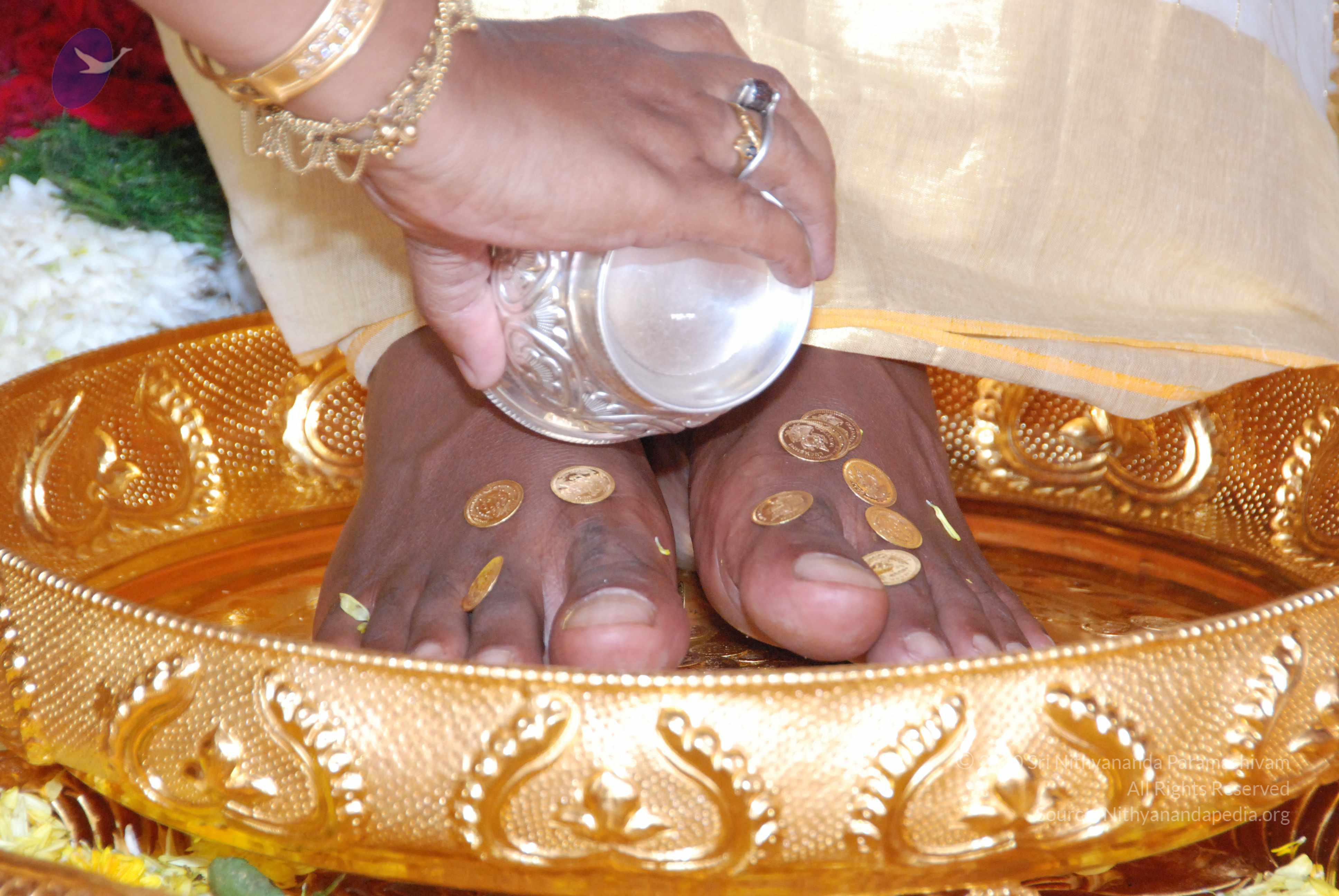 20100101_Photo_1013_DSC_2138_CMP_WM