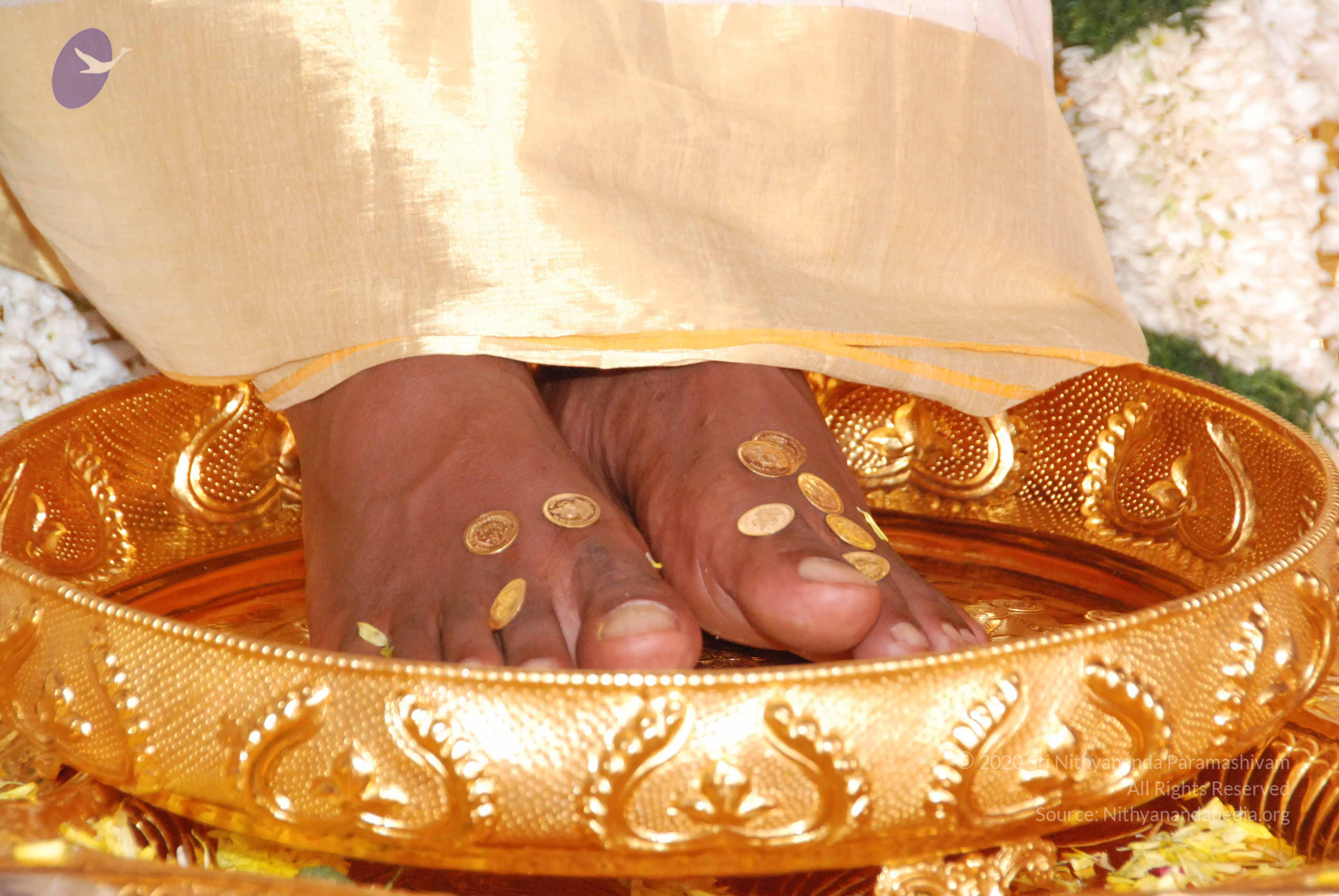 20100101_Photo_1039_DSC_2137_CMP_WM