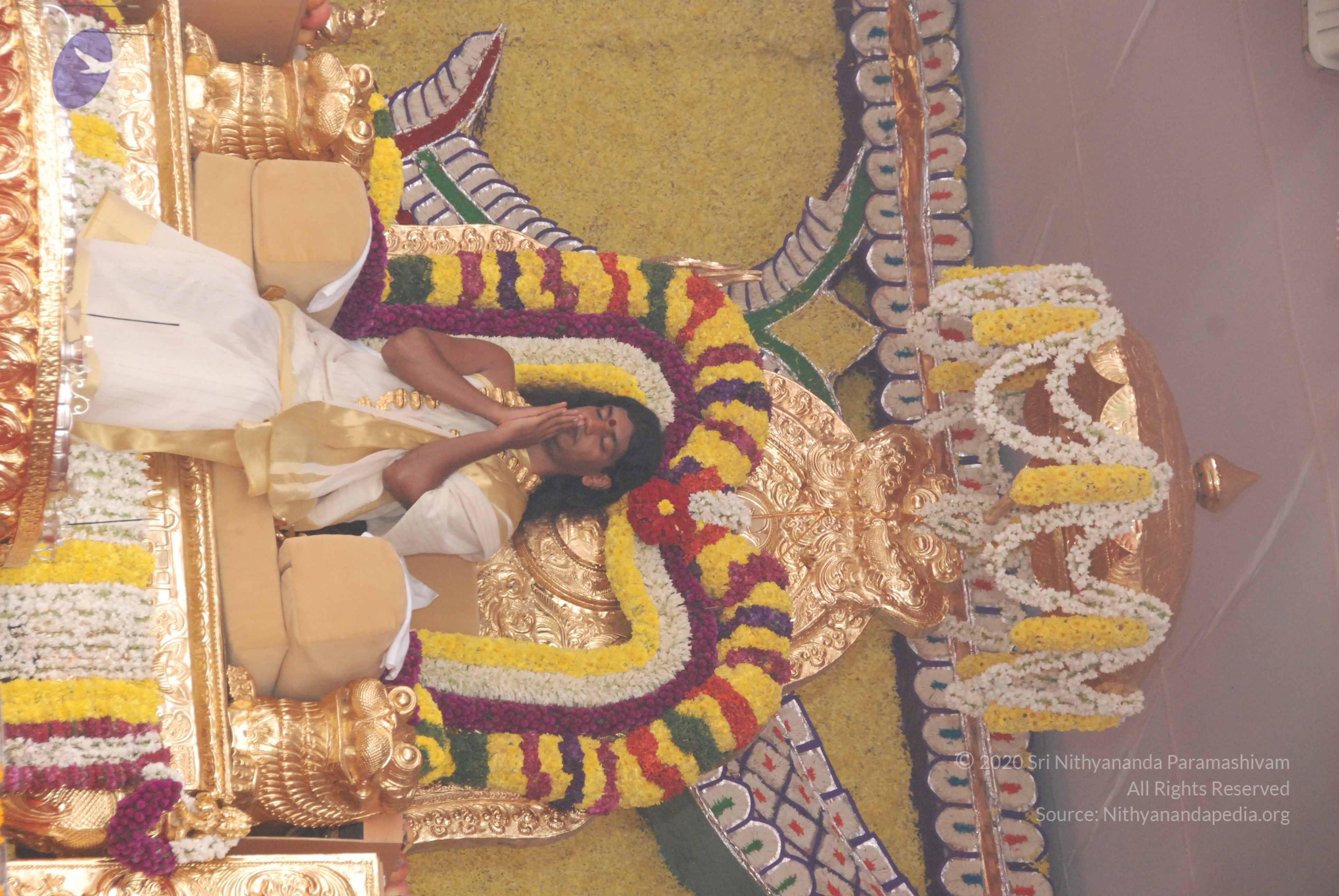 20100101_Photo_1040_DSC_1971_CMP_WM