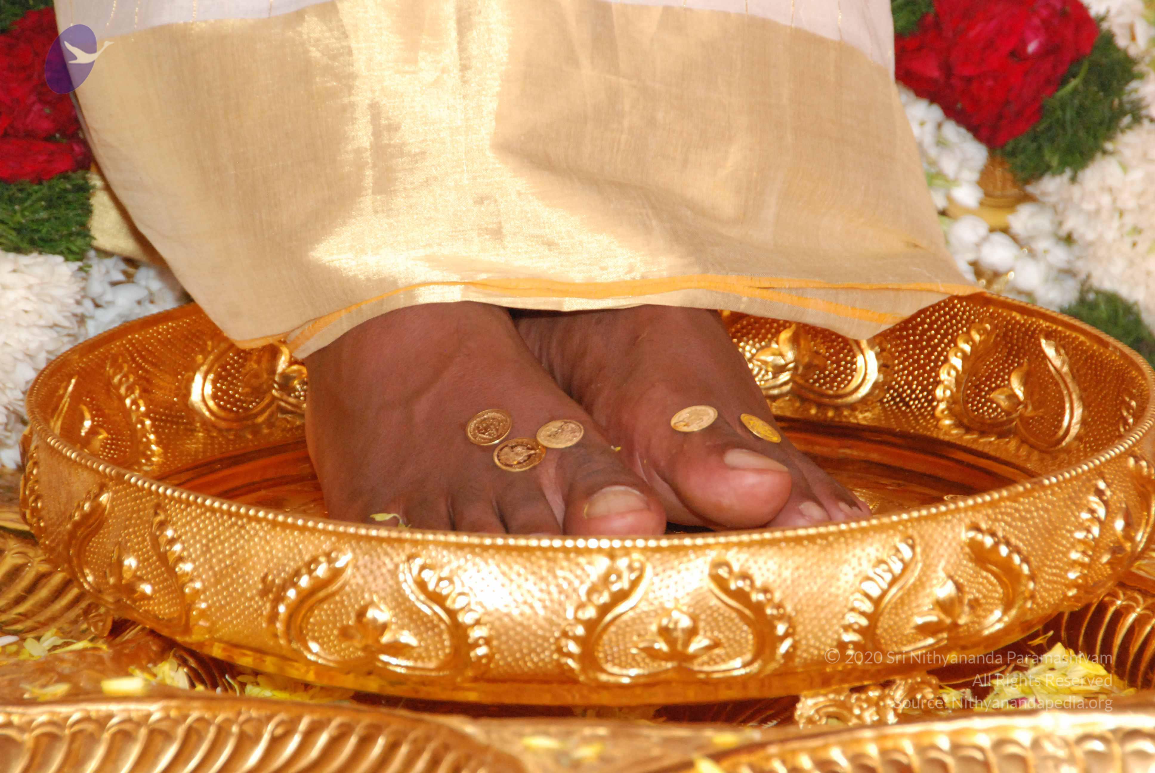 20100101_Photo_1046_DSC_2131_CMP_WM