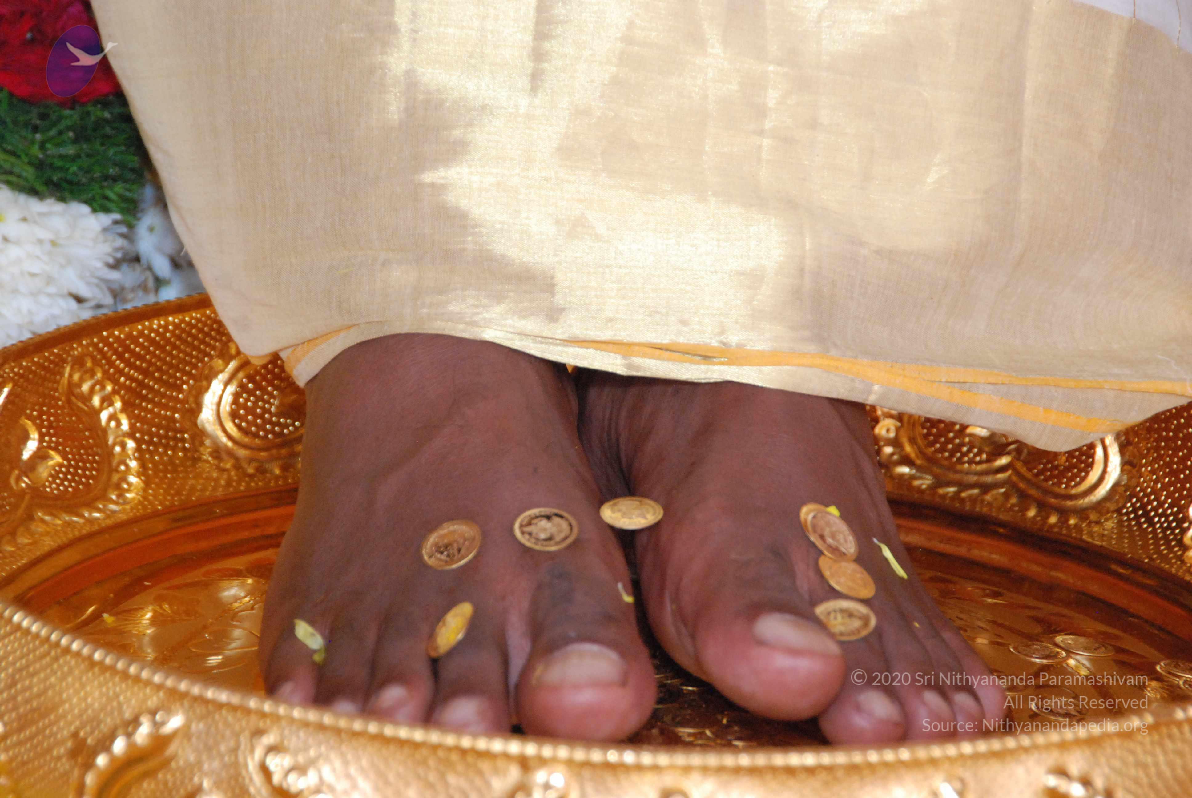 20100101_Photo_1051_DSC_2142_CMP_WM