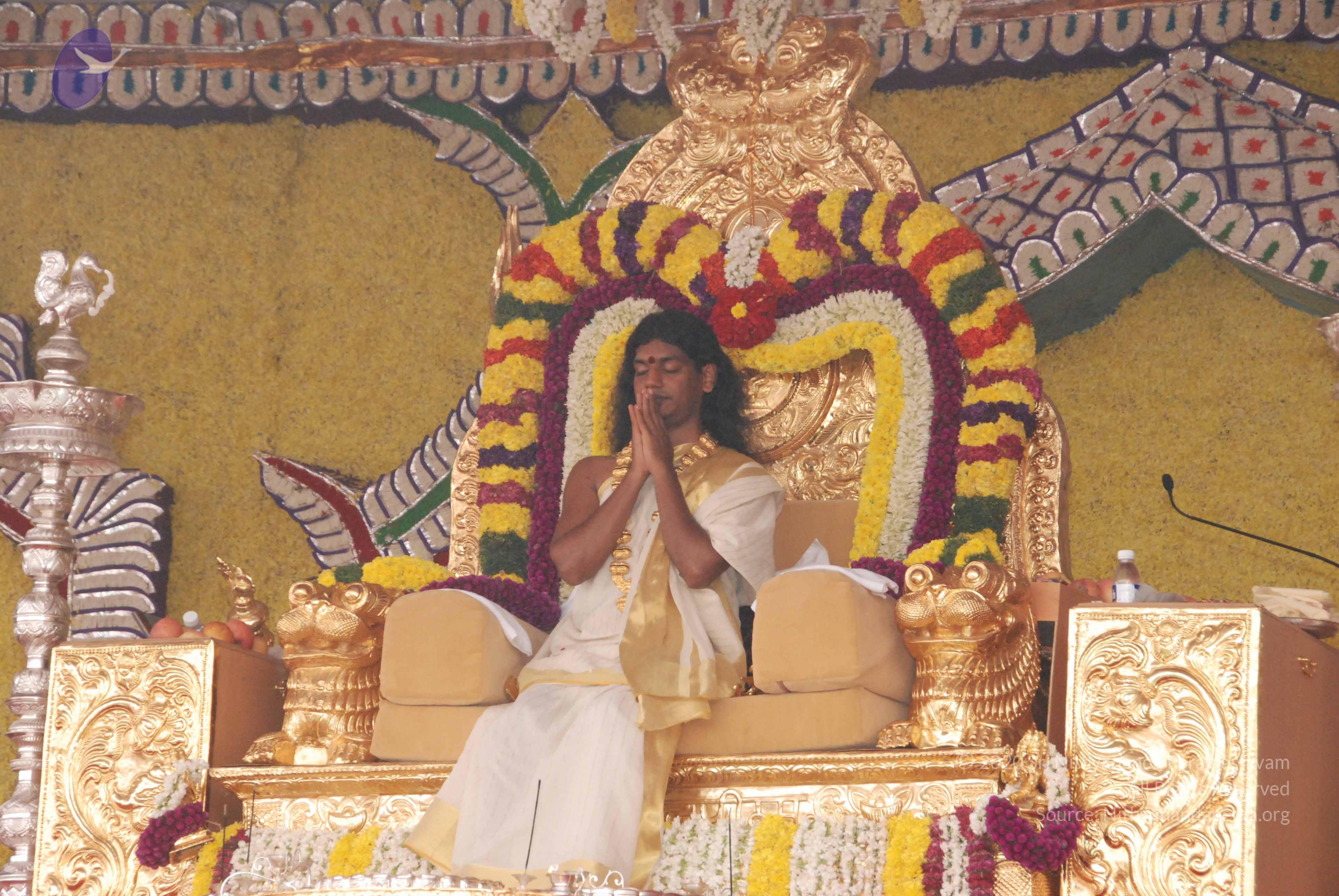 20100101_Photo_1052_DSC_1968_CMP_WM