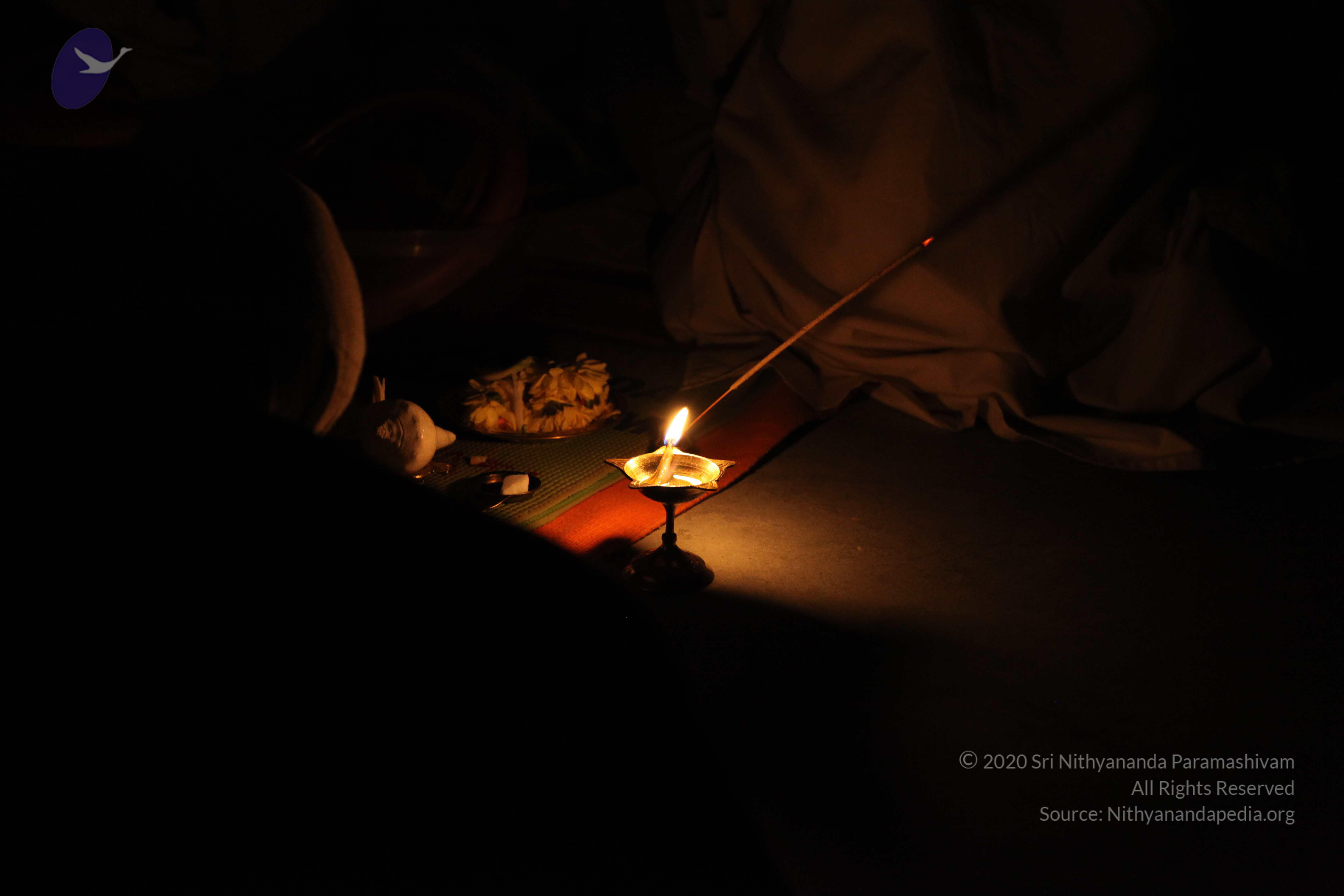 20100101_Photo_1053_IMG_5284_CMP_WM