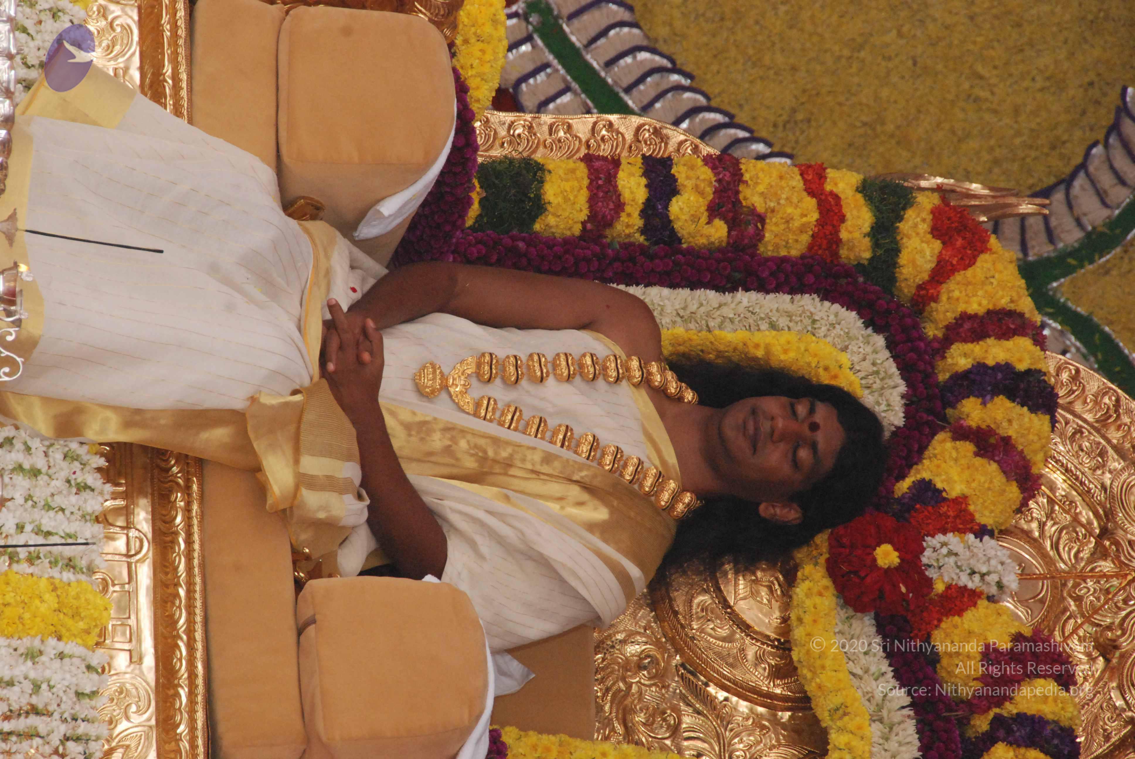 20100101_Photo_1057_DSC_1973_CMP_WM