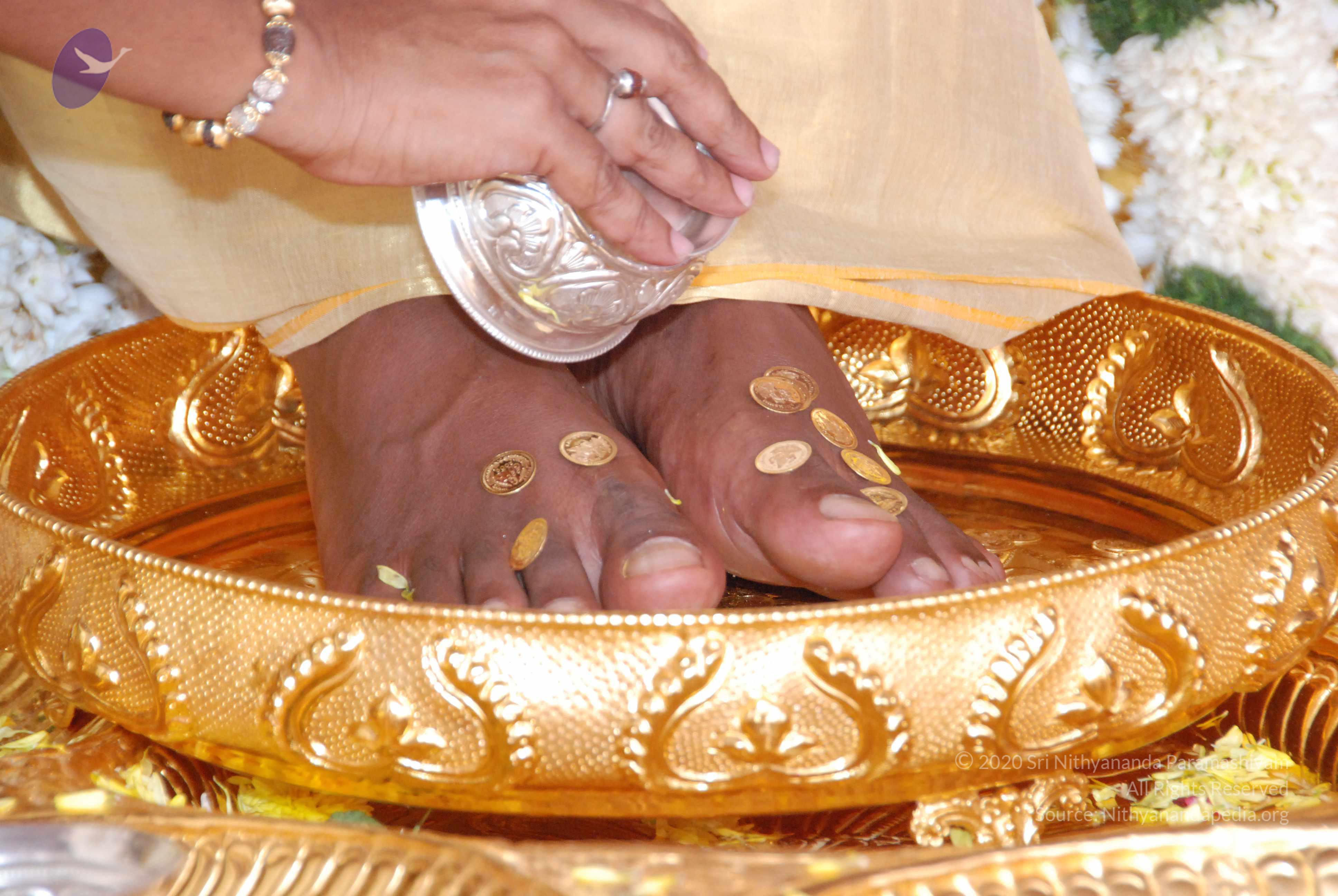 20100101_Photo_1061_DSC_2136_CMP_WM