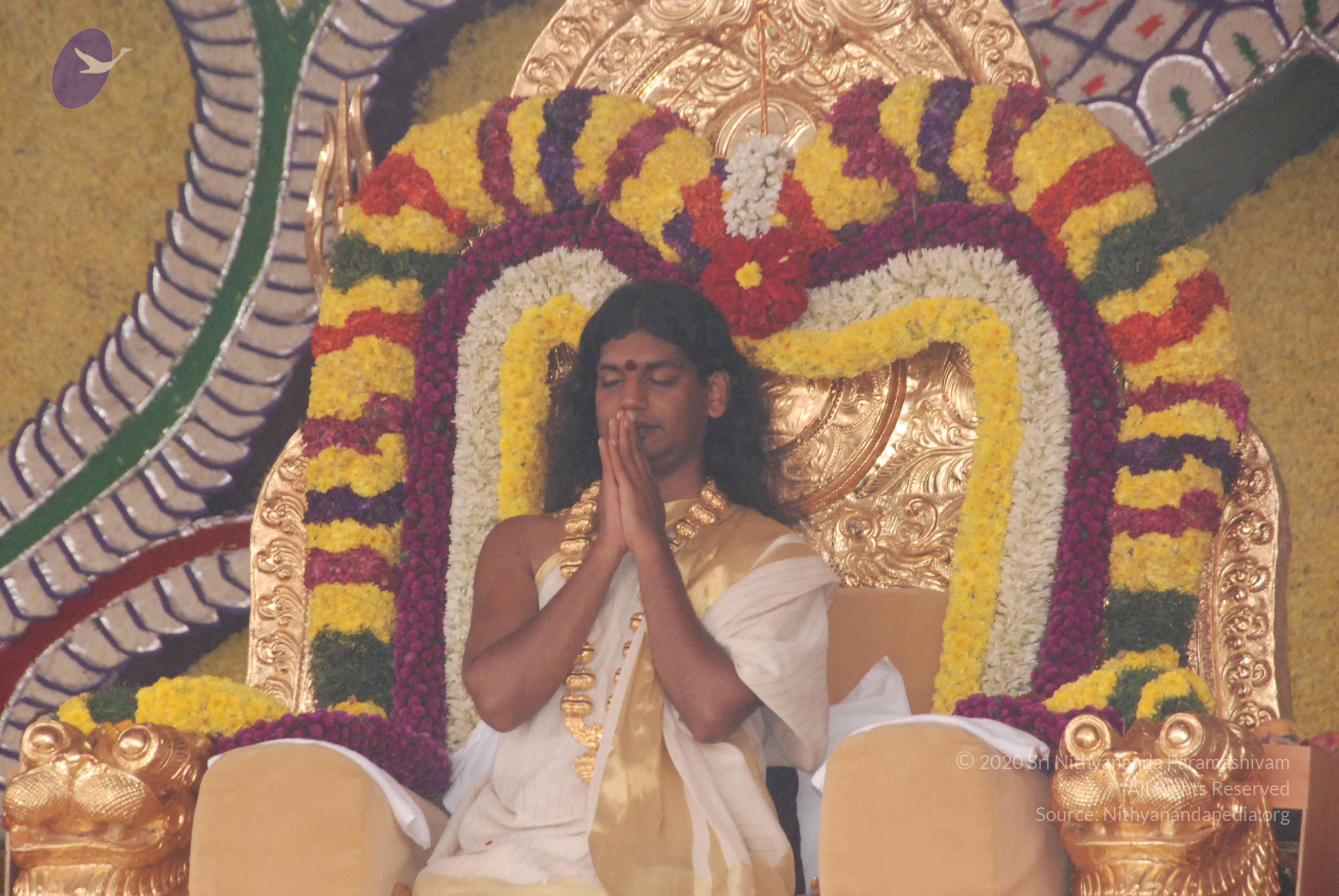 20100101_Photo_1064_DSC_1967_CMP_WM