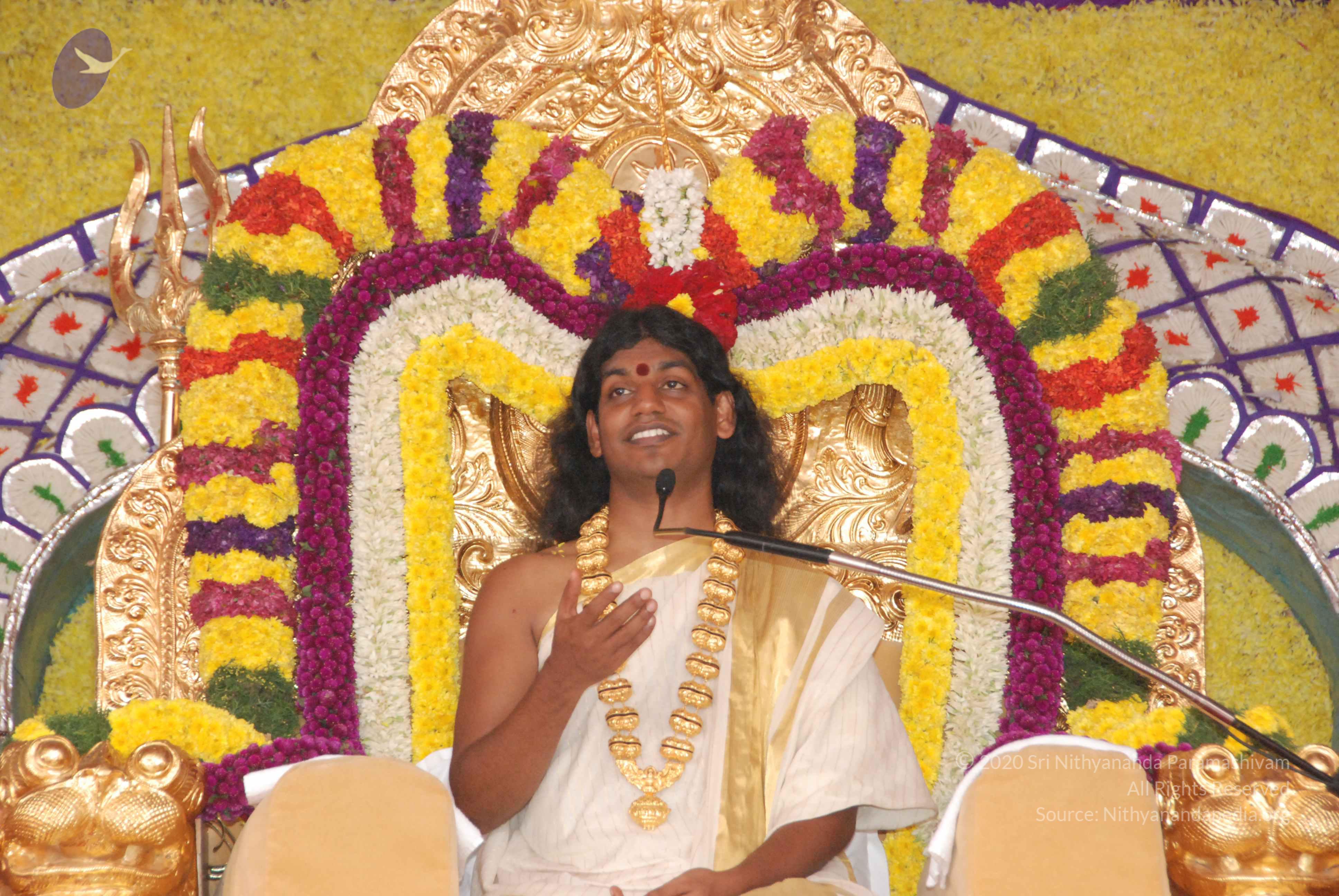 20100101_Photo_1011_DSC_2016_CMP_WM