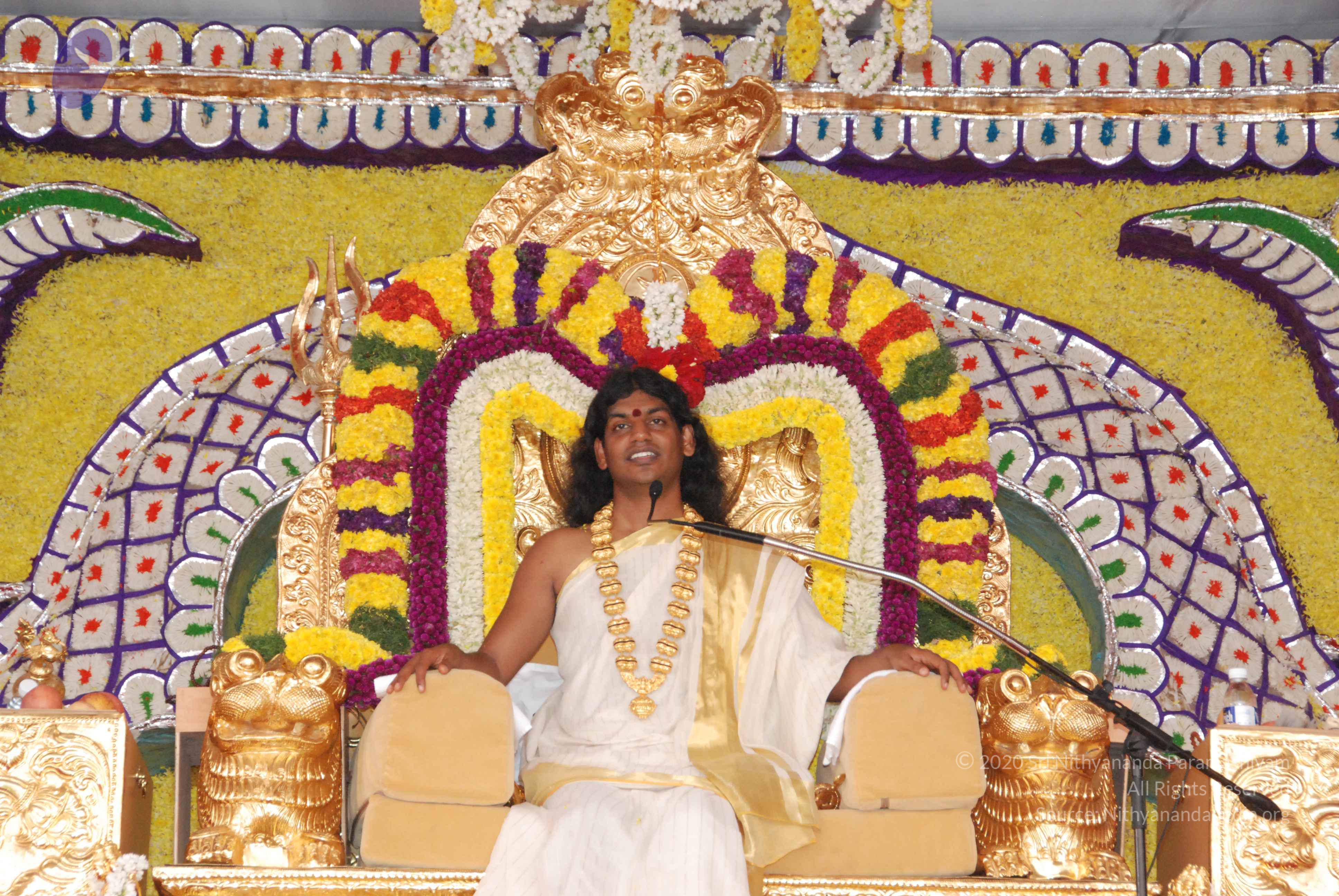 20100101_Photo_1015_DSC_2026_CMP_WM