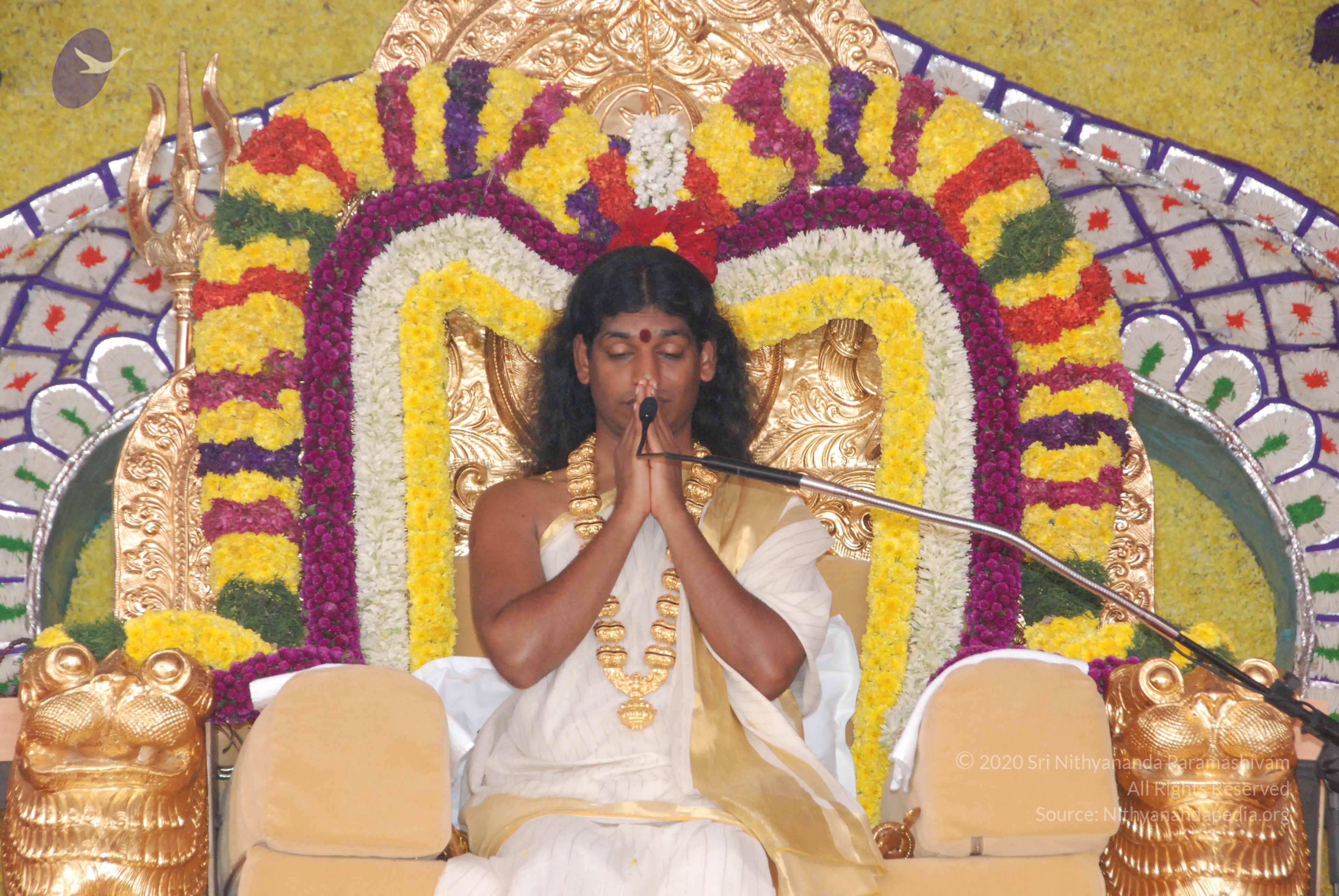 20100101_Photo_1016_DSC_2011_CMP_WM