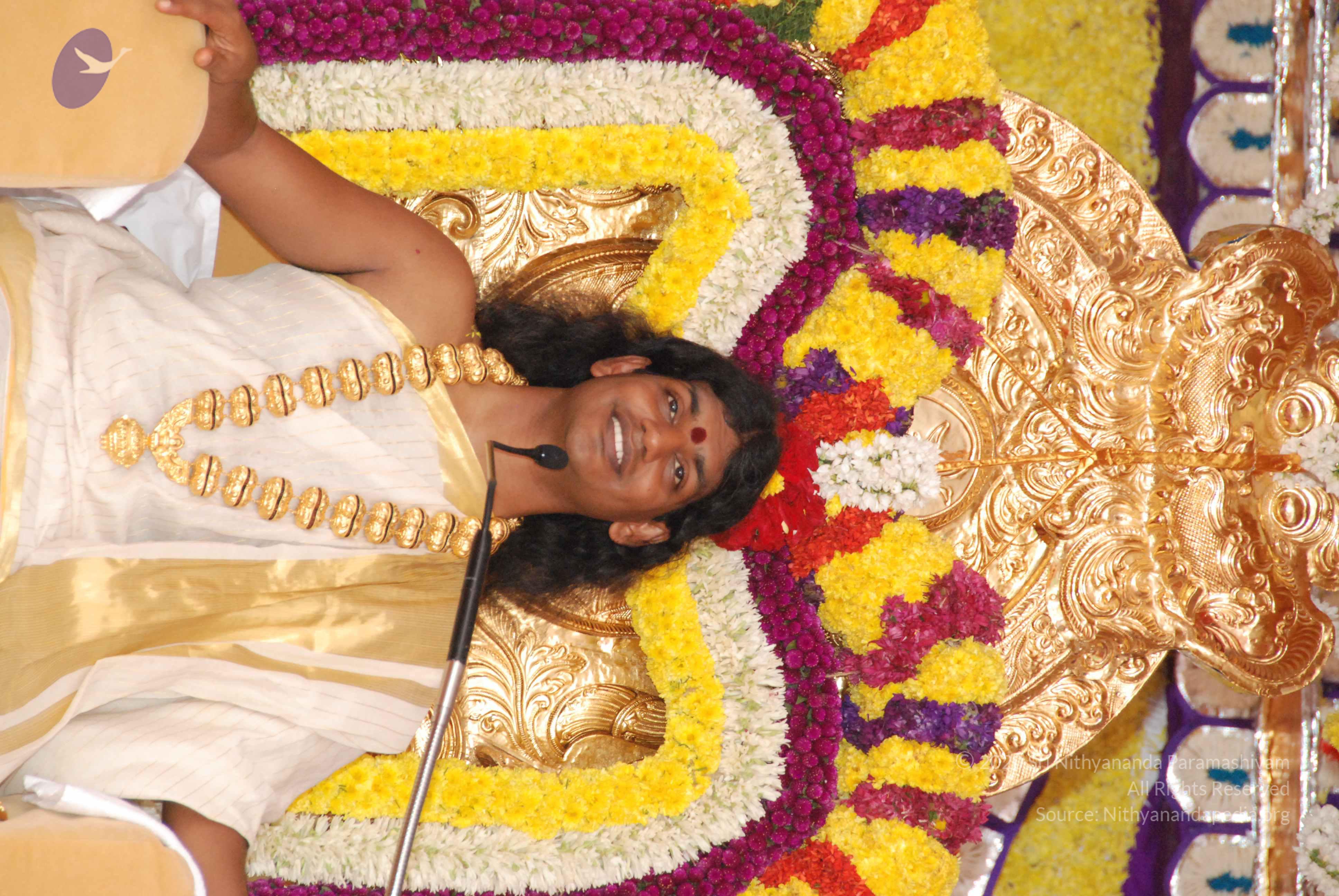 20100101_Photo_1022_DSC_2049_CMP_WM