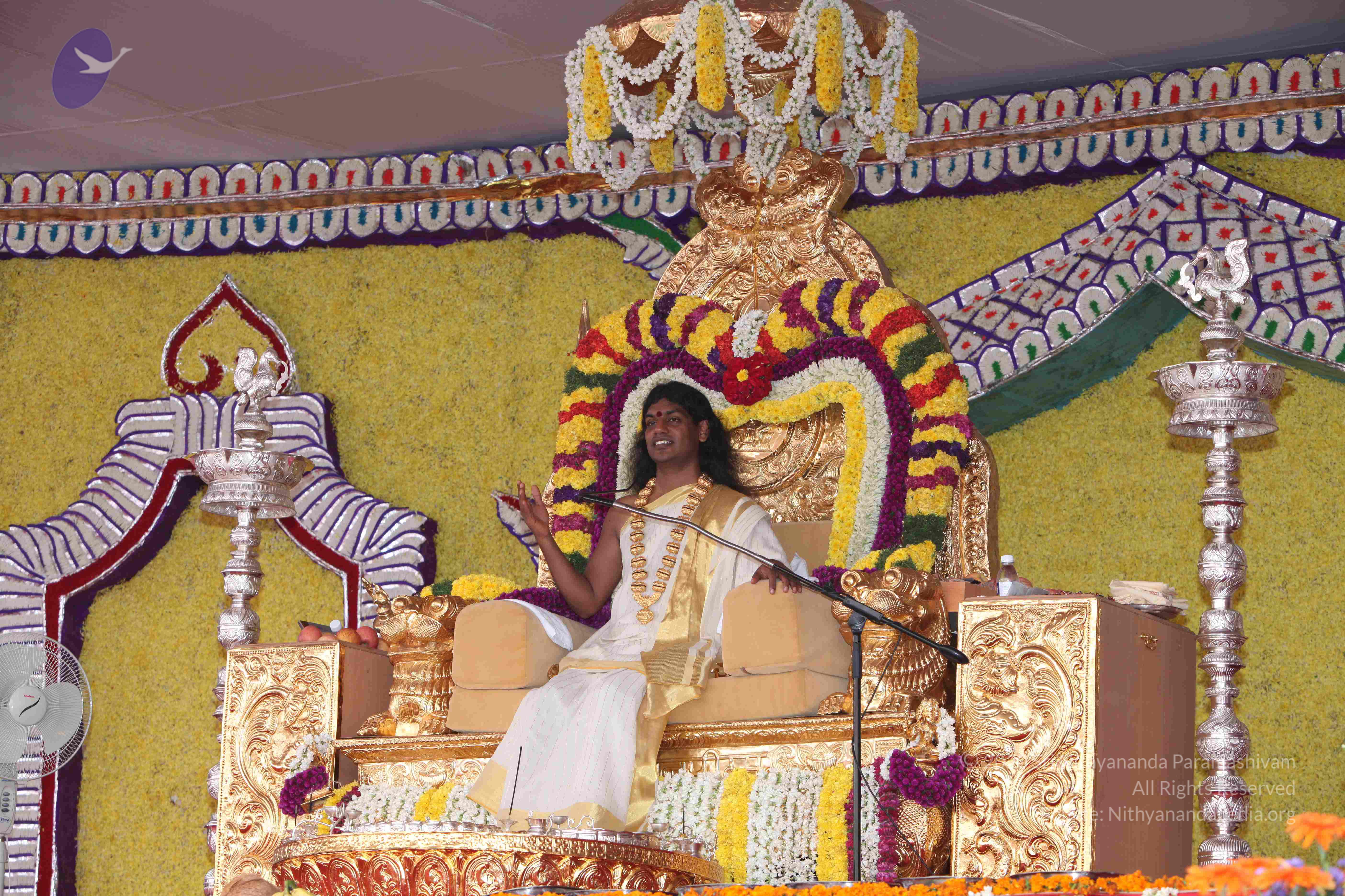 20100101_Photo_1027_IMG_4865_CMP_WM