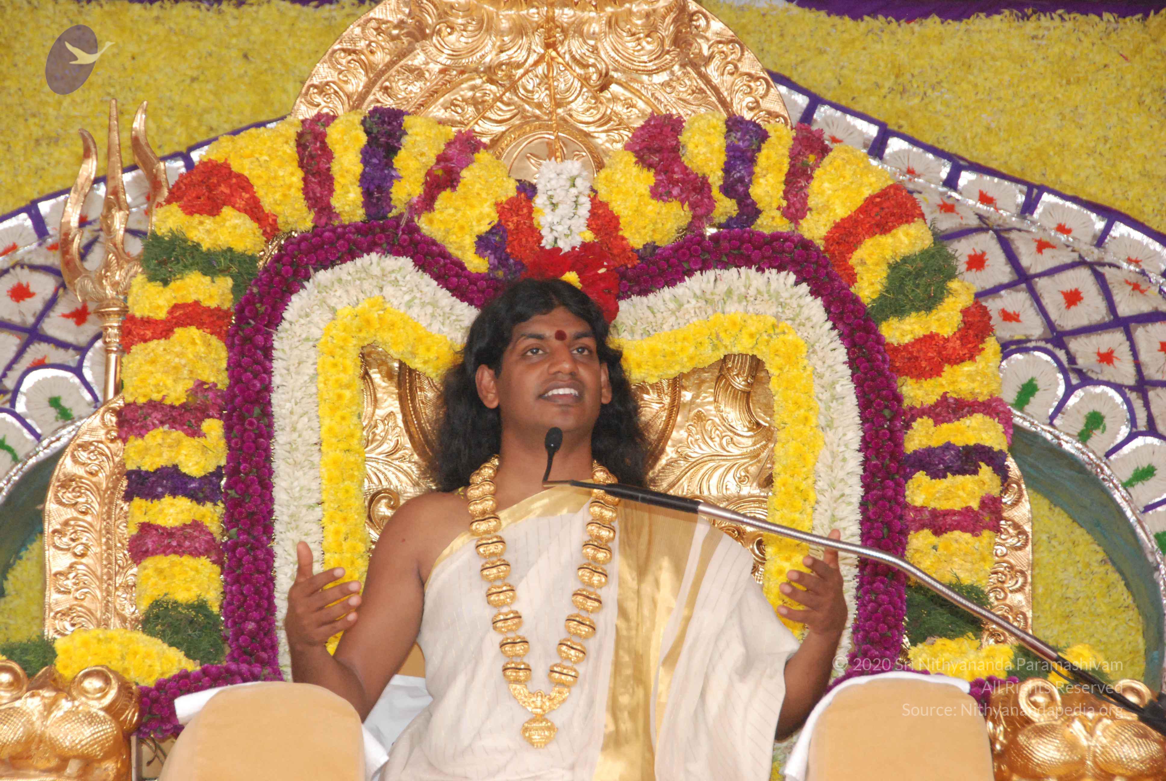 20100101_Photo_1028_DSC_2019_CMP_WM