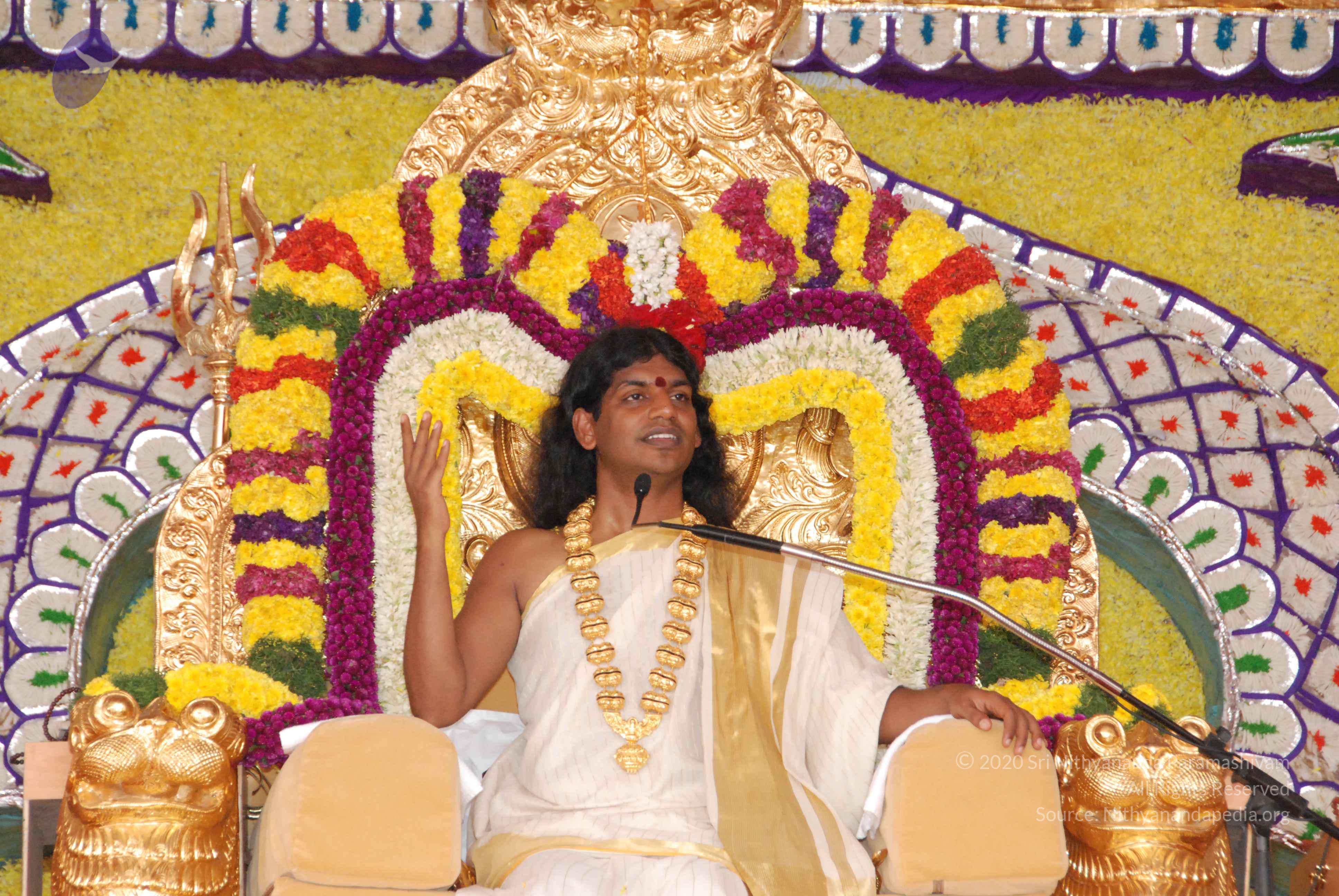 20100101_Photo_1034_DSC_2053_CMP_WM