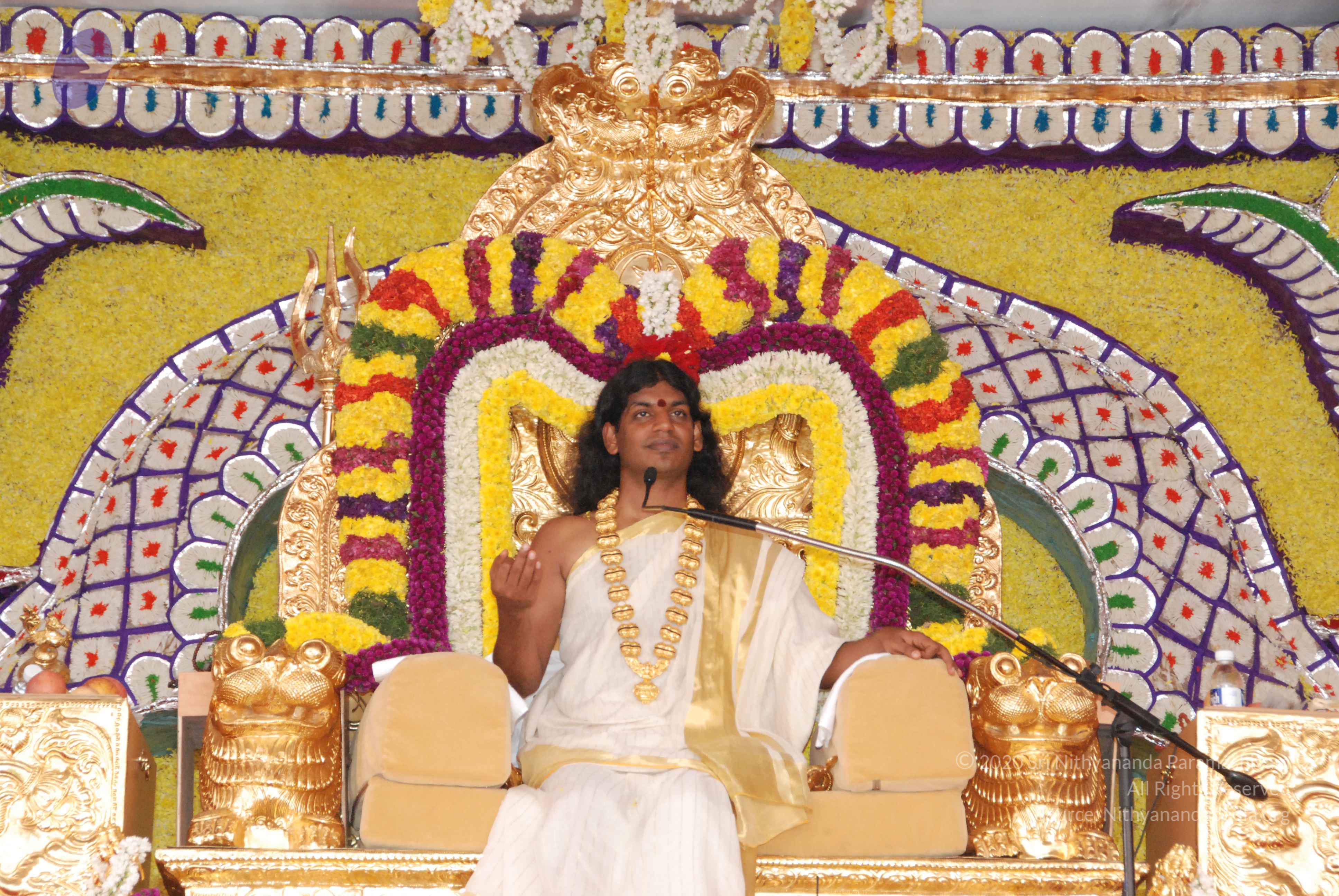 20100101_Photo_1037_DSC_2025_CMP_WM