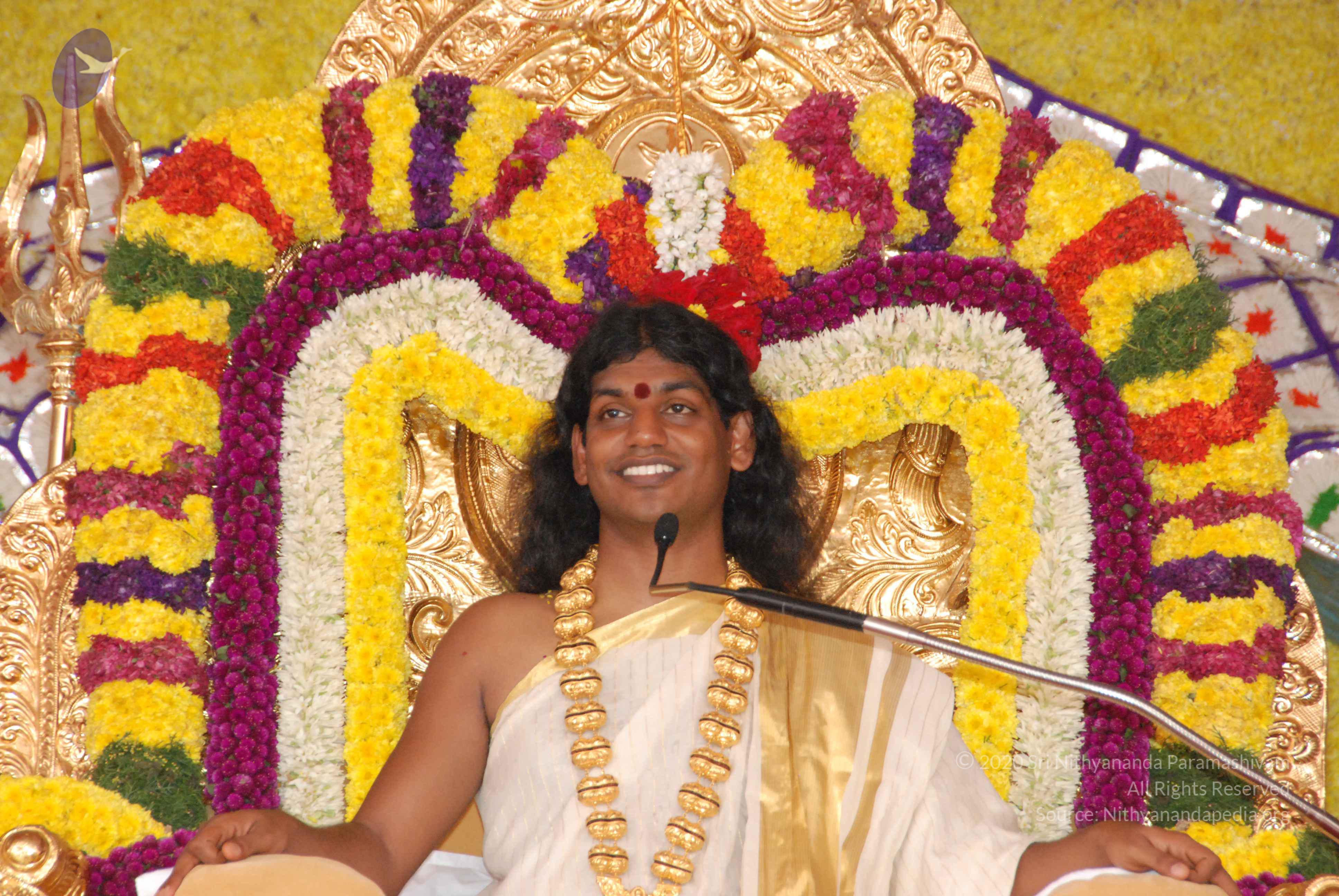 20100101_Photo_1040_DSC_2061_CMP_WM