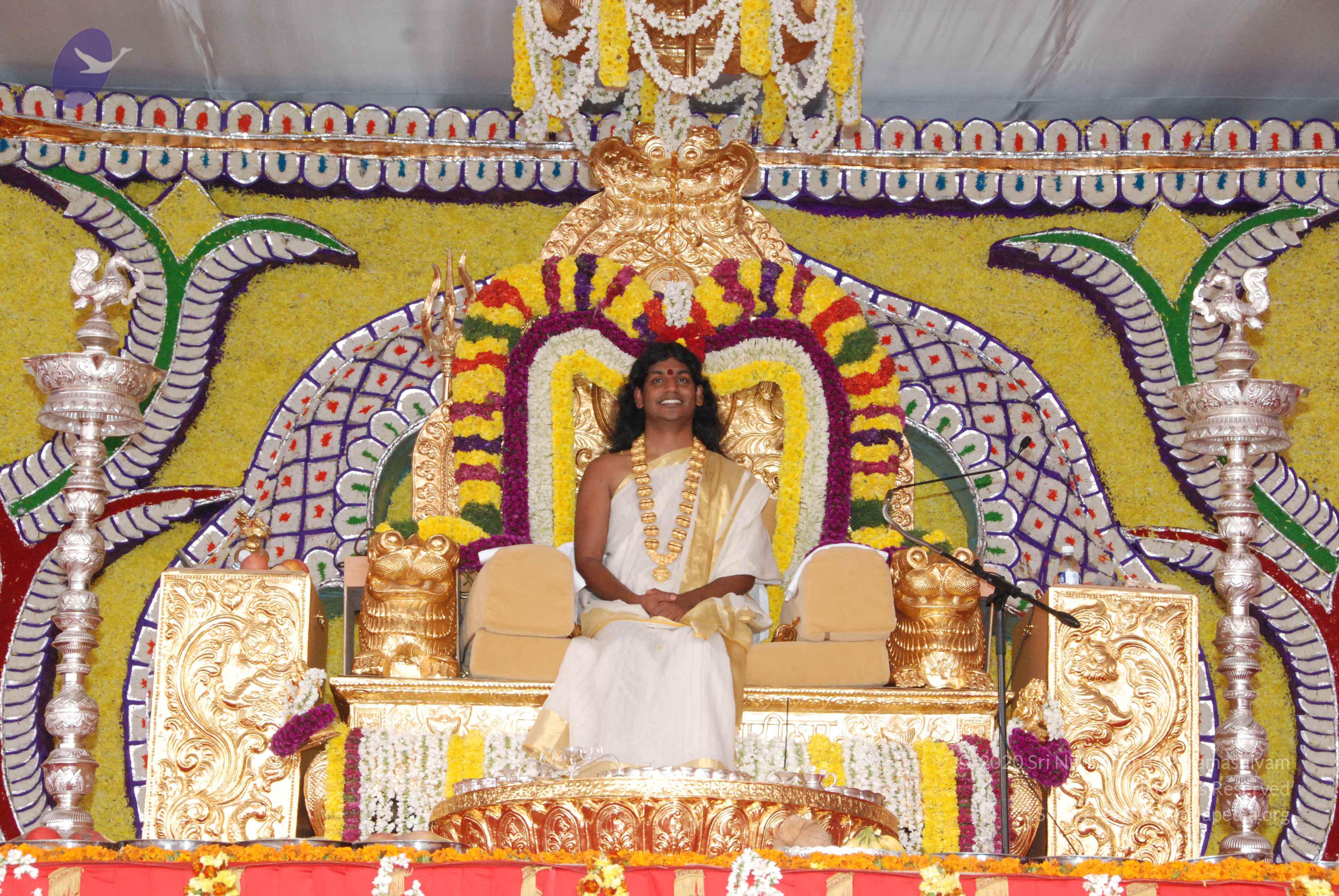 20100101_Photo_1043_DSC_2066_CMP_WM