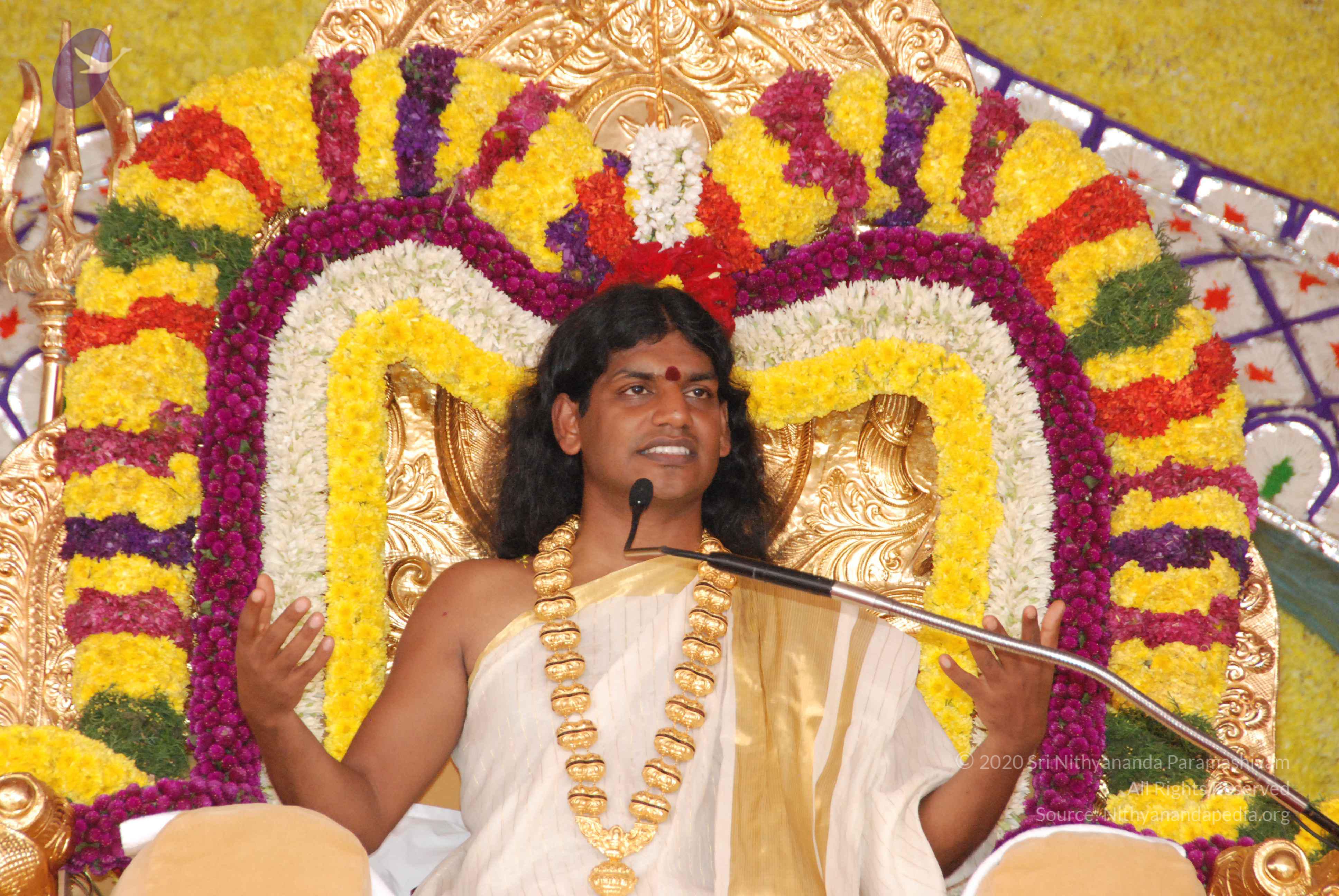 20100101_Photo_1048_DSC_2040_CMP_WM