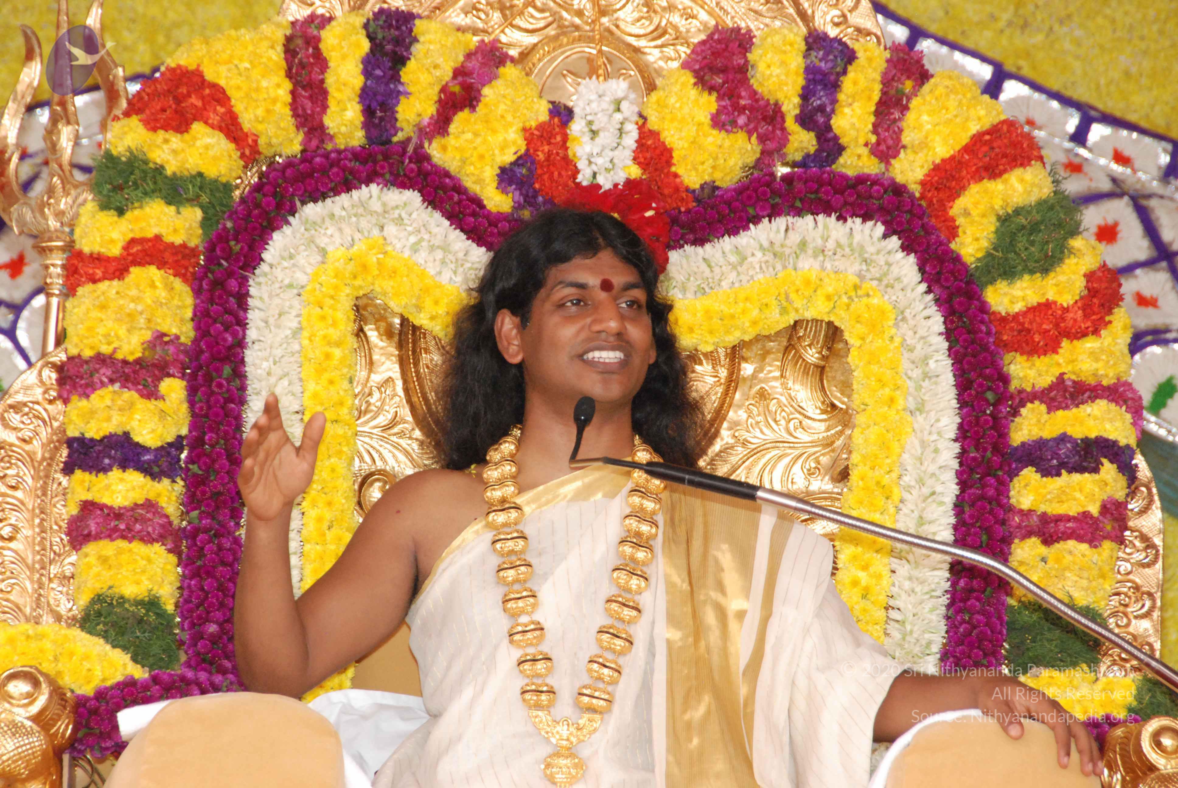 20100101_Photo_1049_DSC_2059_CMP_WM