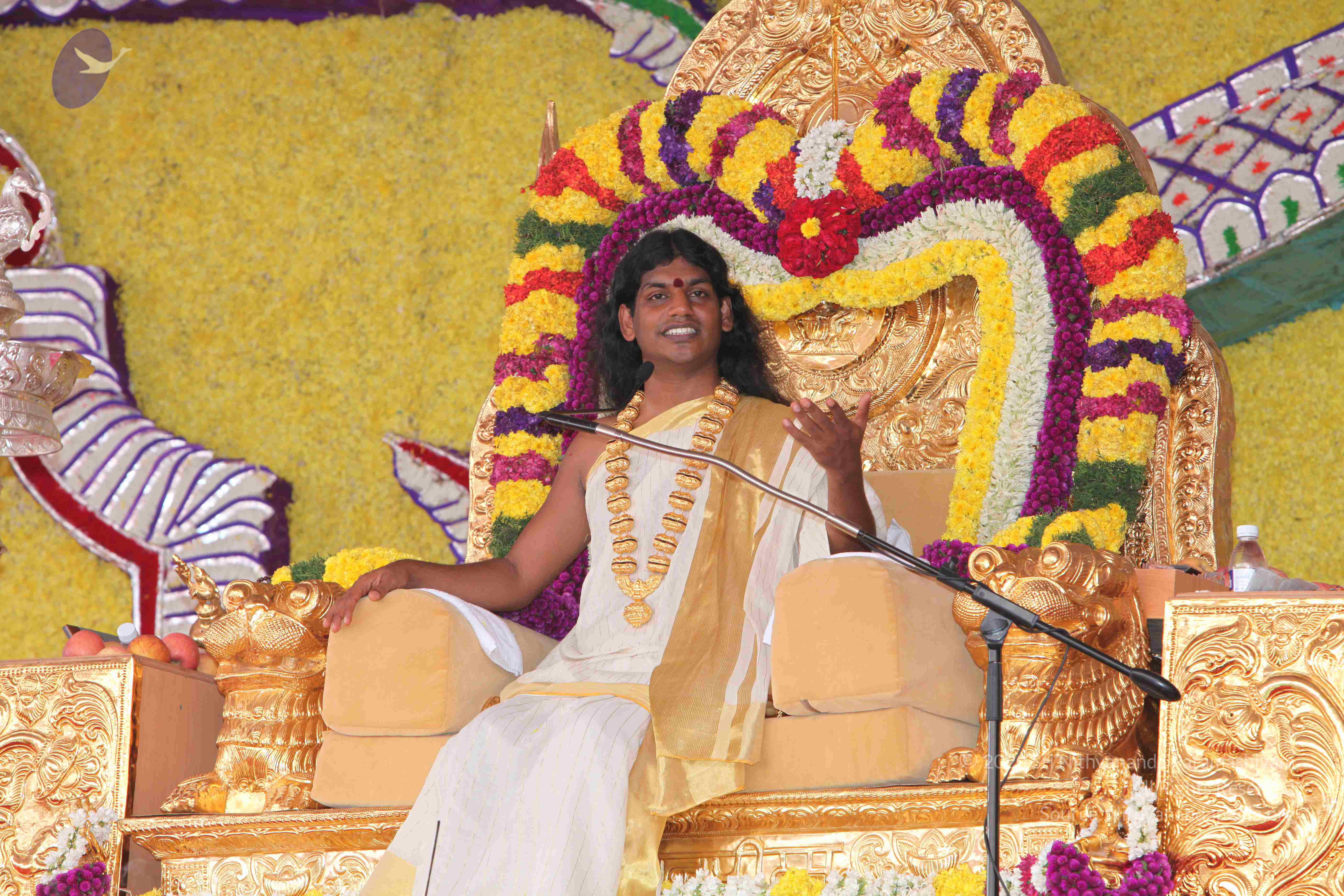 20100101_Photo_1055_IMG_4882_CMP_WM