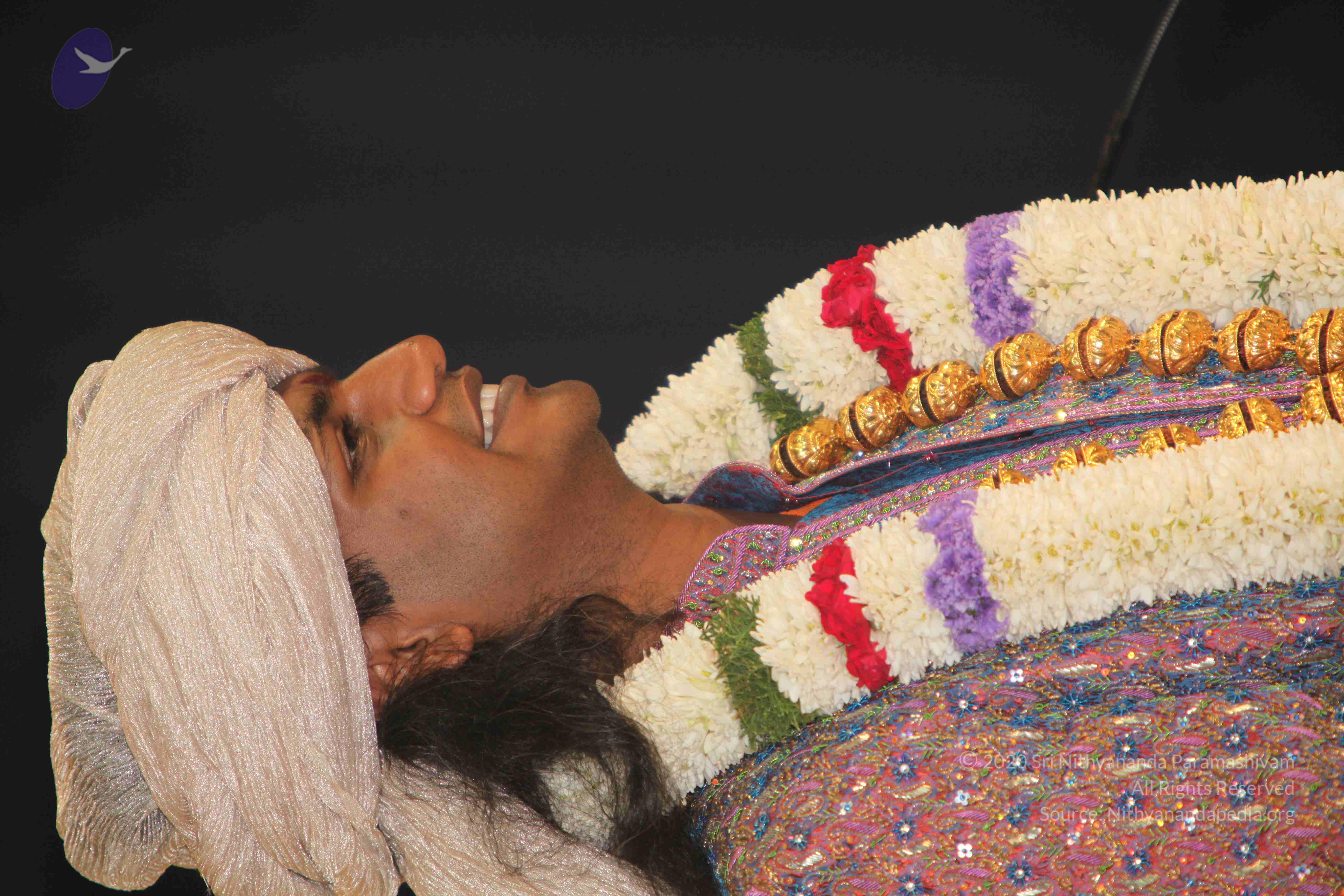 20100101_Photo_1017_IMG_5472_CMP_WM