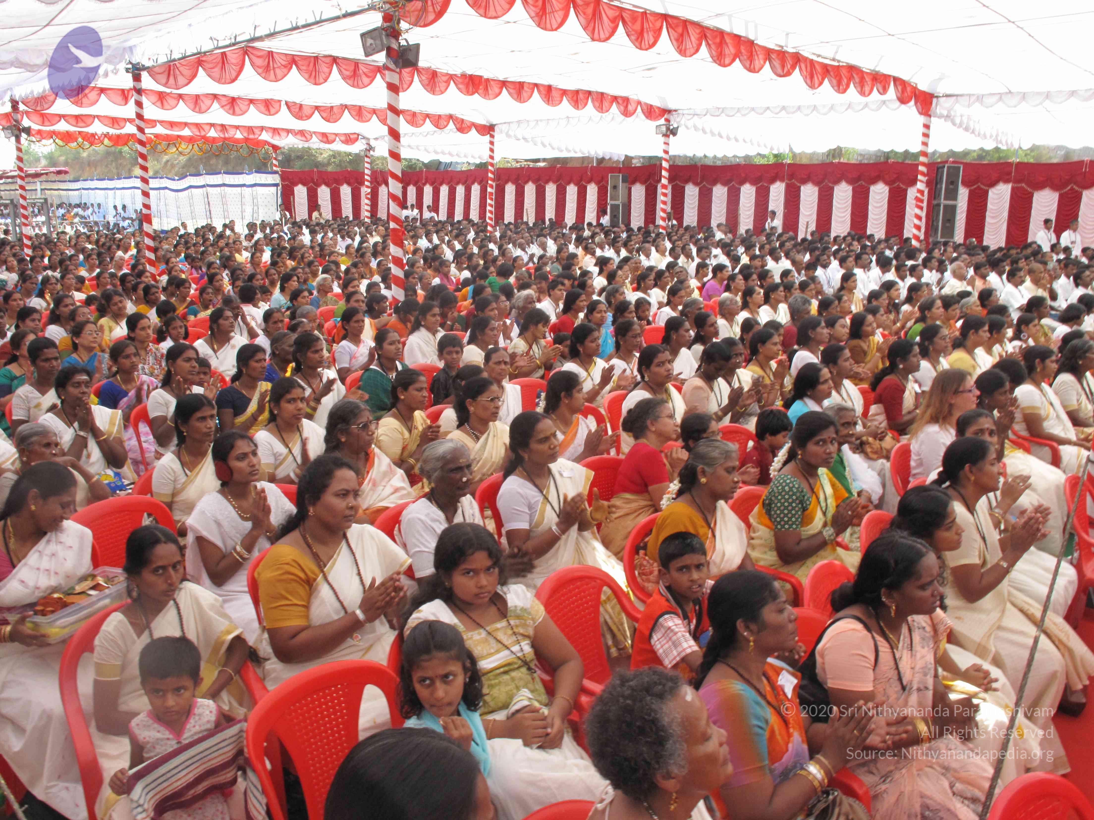 20100101_Photo_1032_IMG_1721_CMP_WM