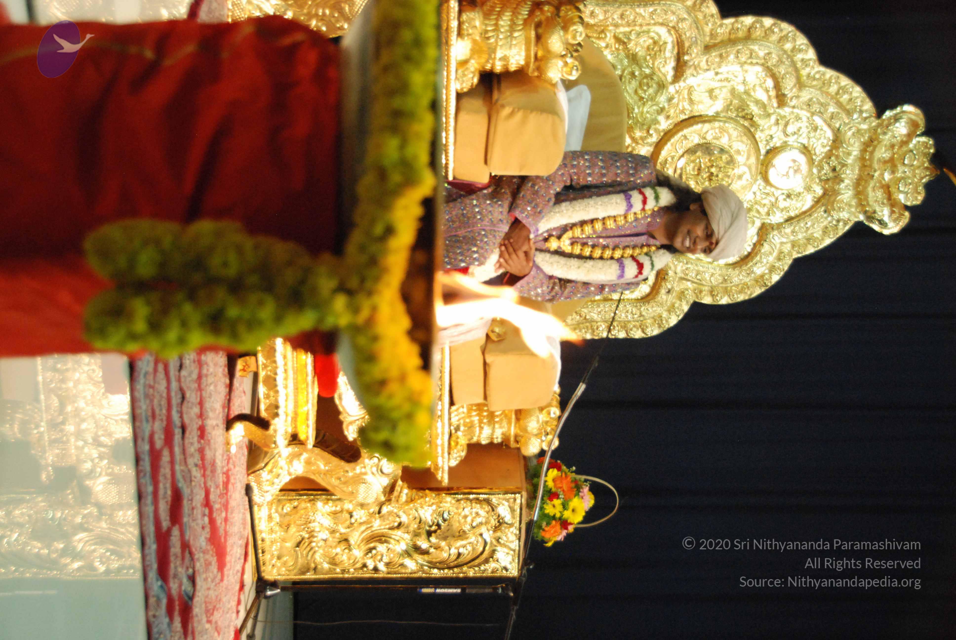 20100101_Photo_1083_DSC_2599_CMP_WM