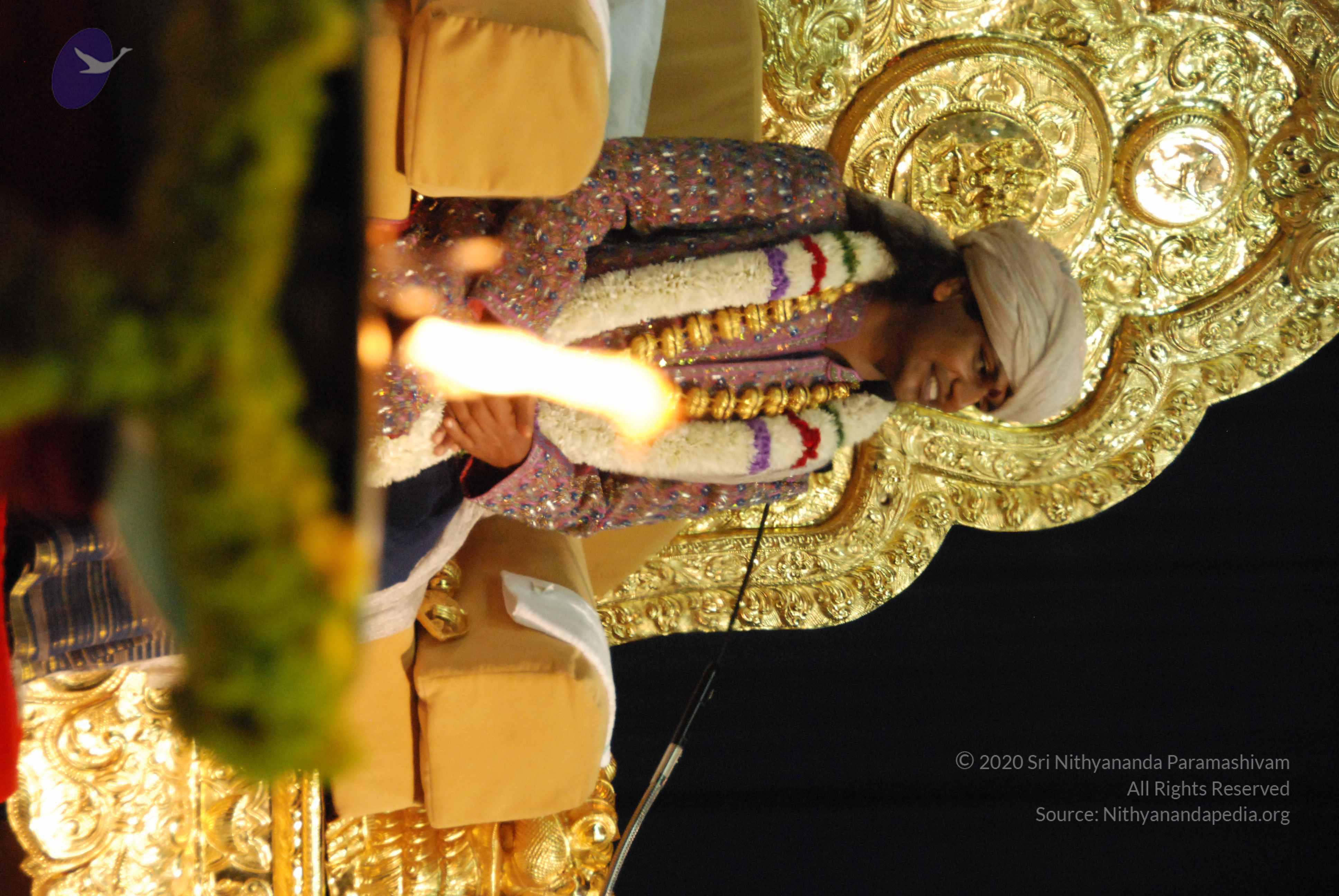 20100101_Photo_1132_DSC_2602_CMP_WM