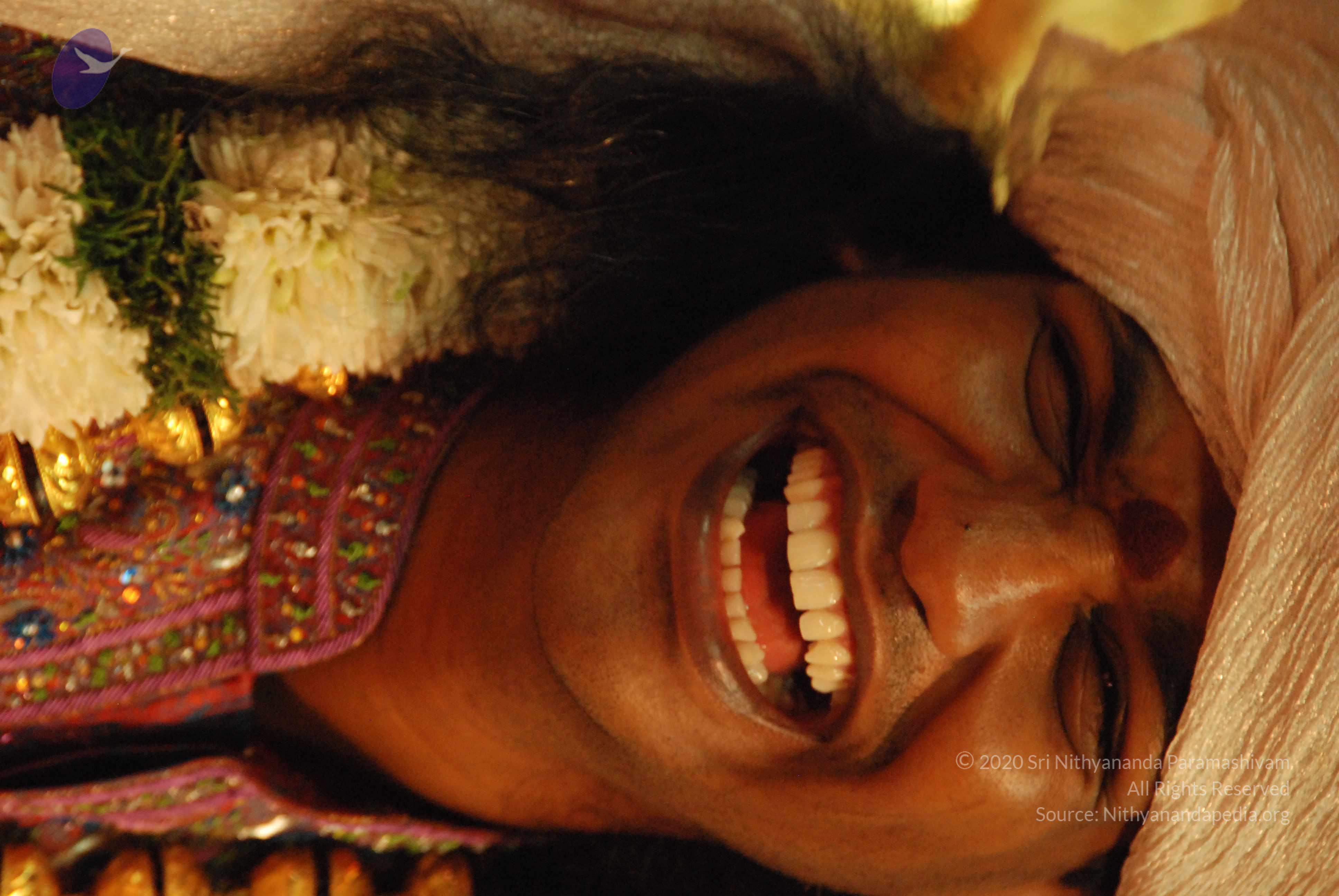 20100101_Photo_1145_DSC_2797_CMP_WM