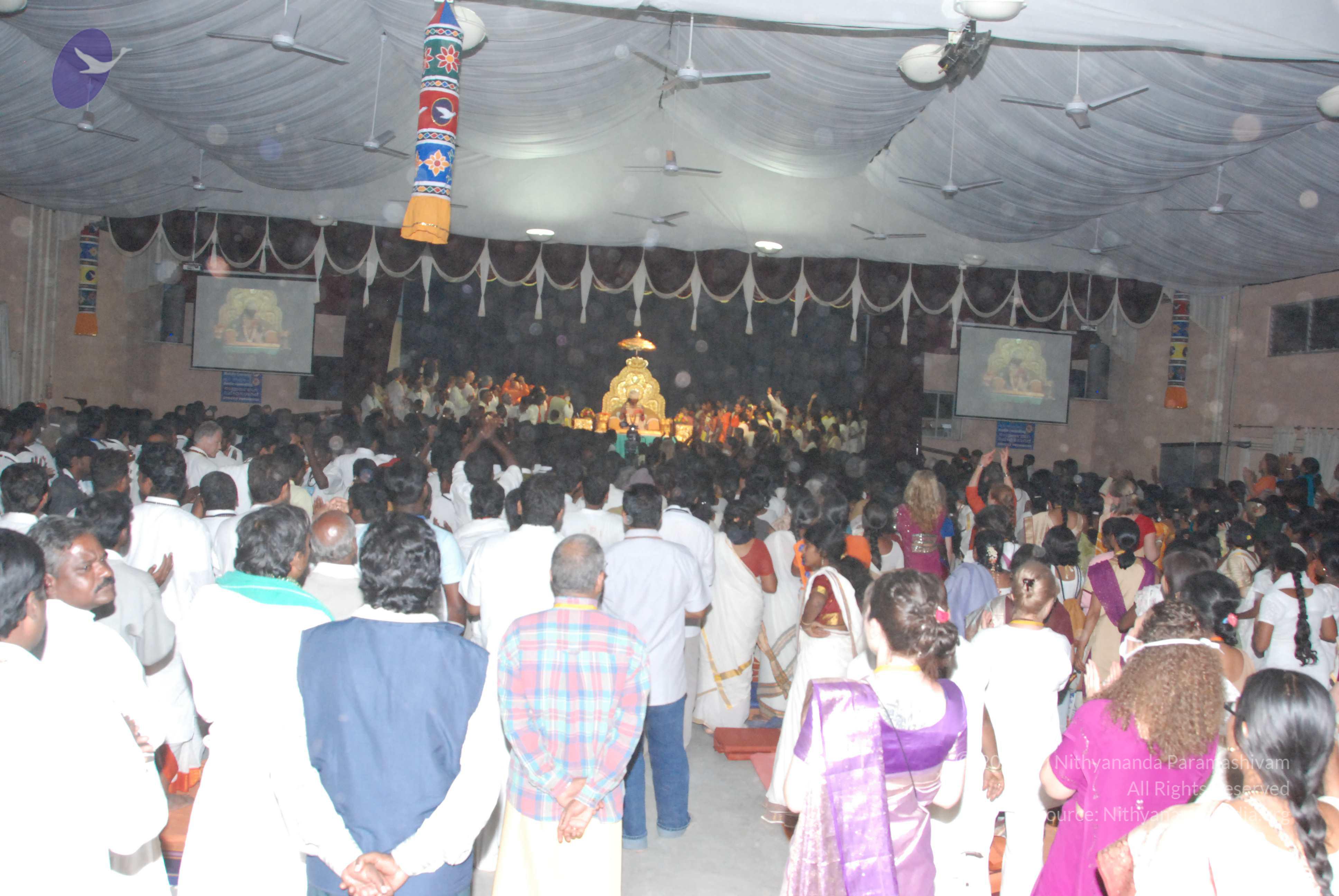 20100101_Photo_1174_DSC_2650_CMP_WM