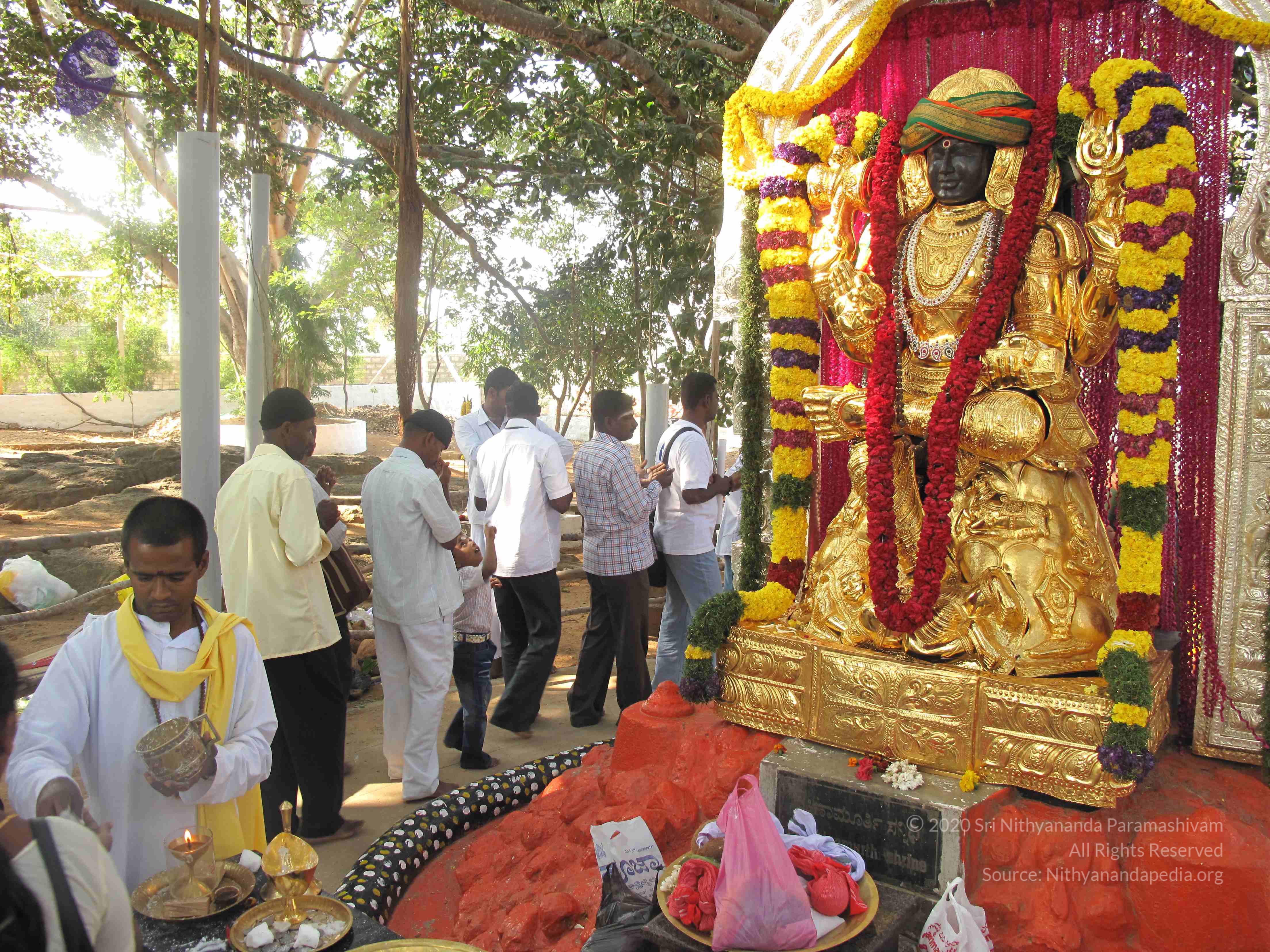 20100101_Photo_1192_IMG_1988_CMP_WM