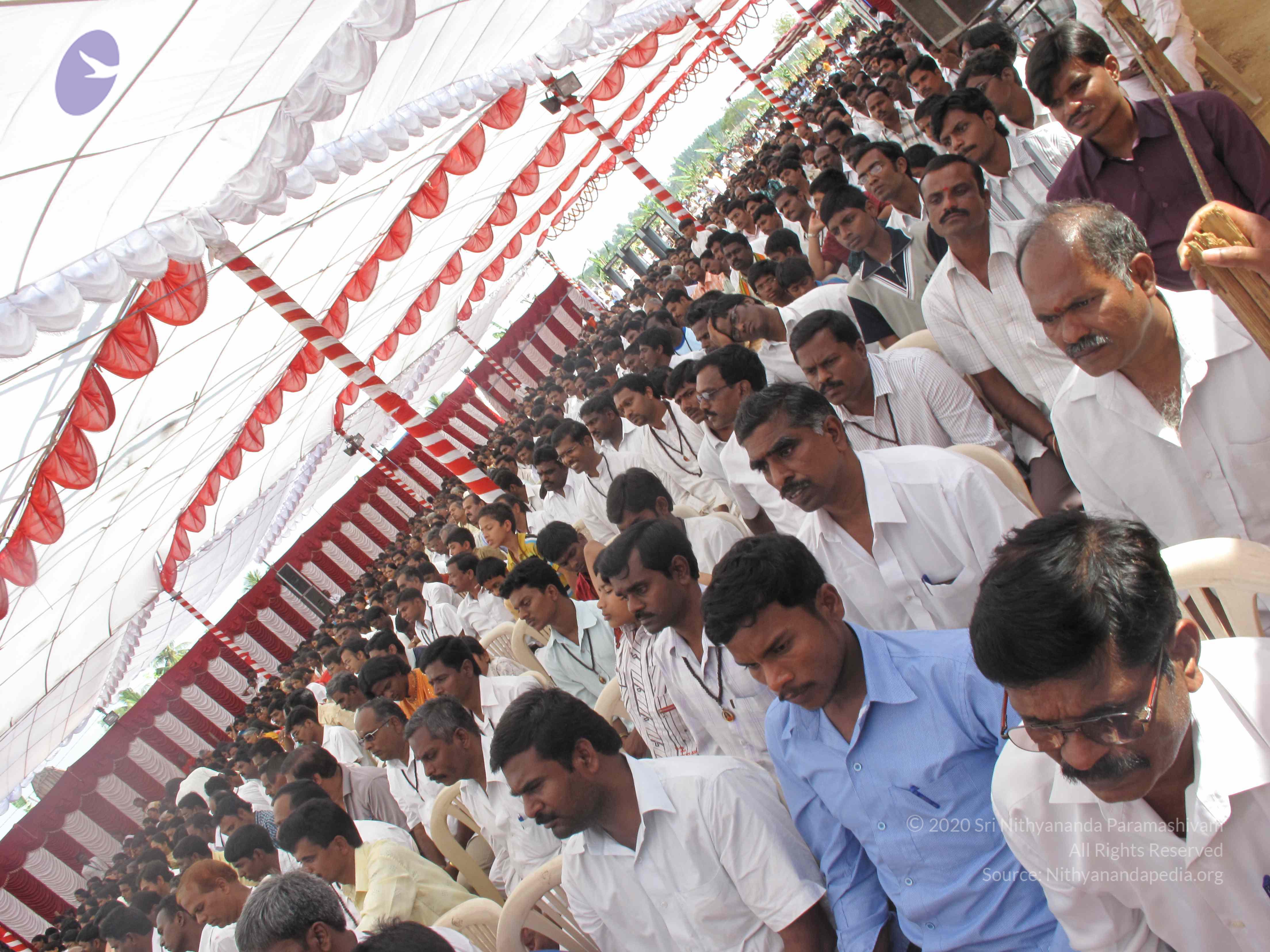 20100101_Photo_1228_IMG_1851_CMP_WM