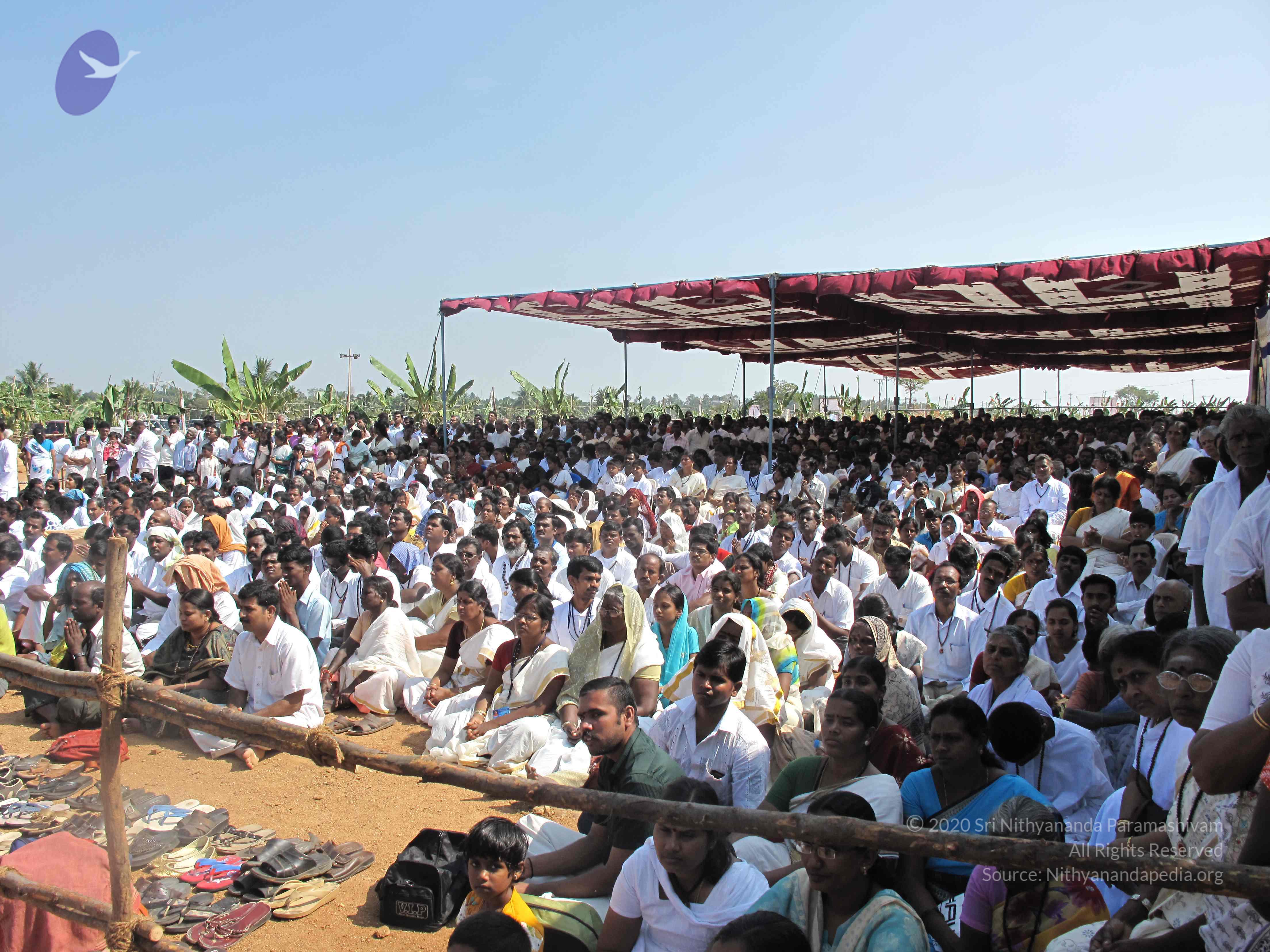 20100101_Photo_1264_IMG_1744_CMP_WM