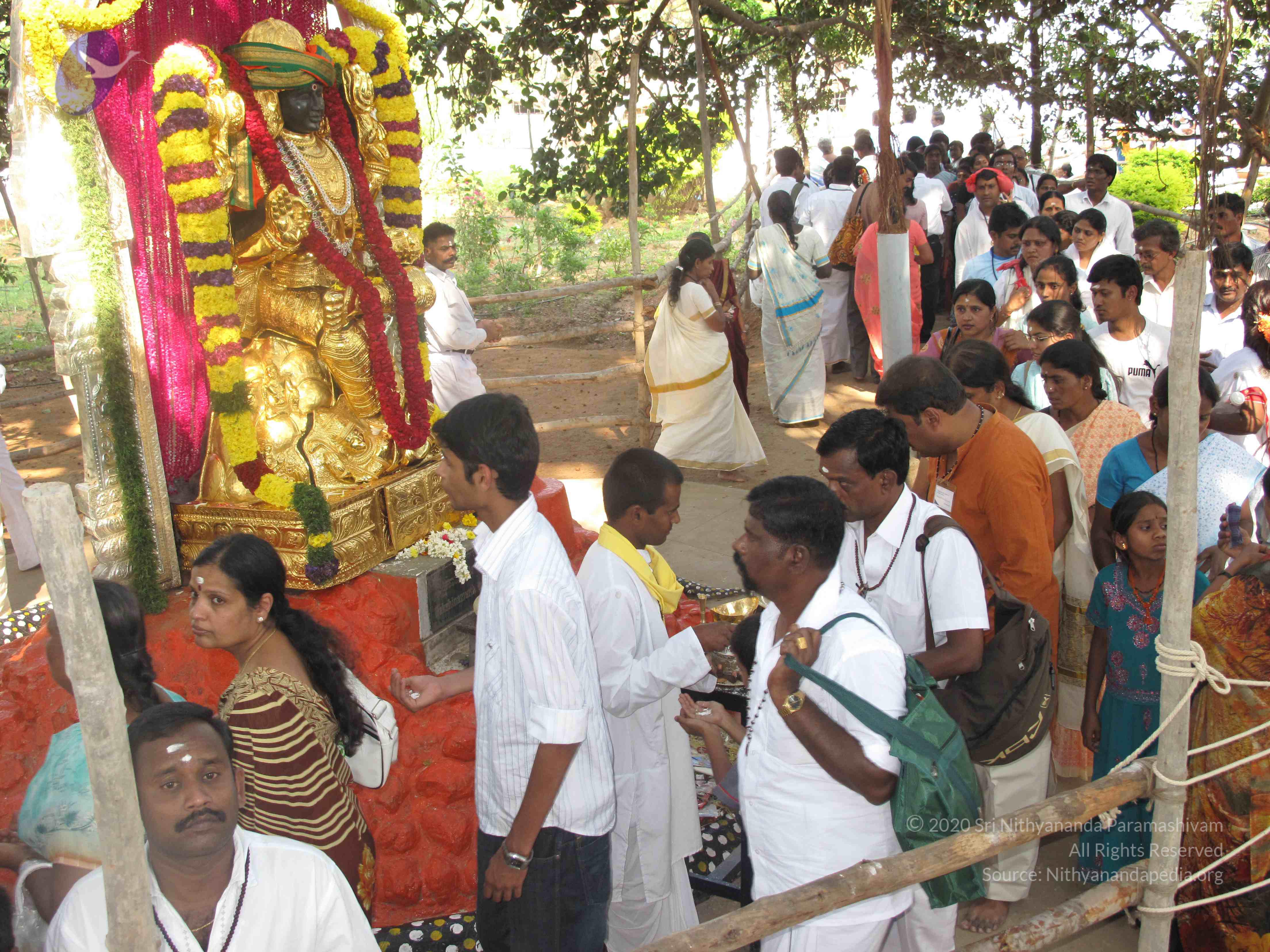 20100101_Photo_1444_IMG_1974_CMP_WM