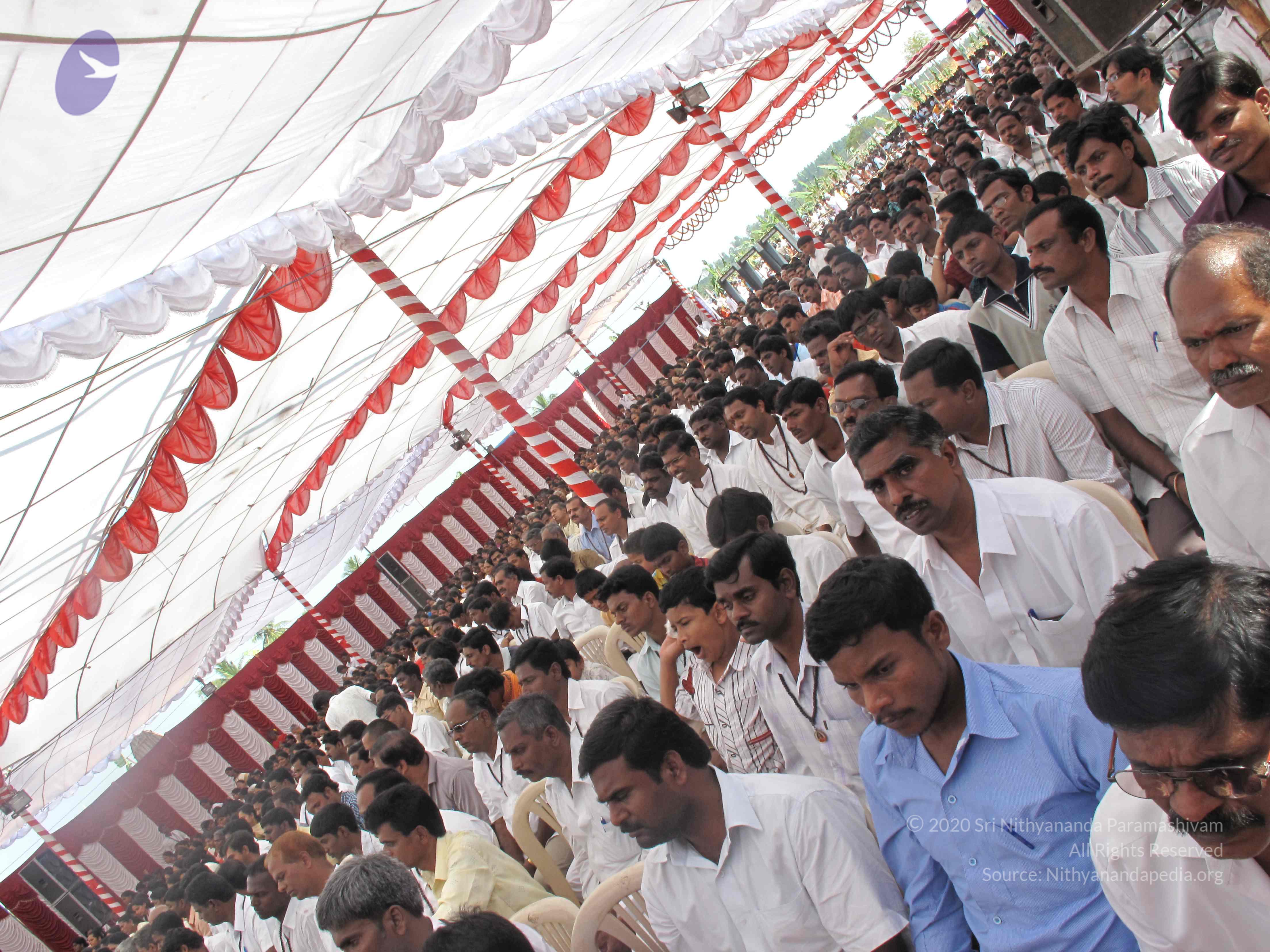 20100101_Photo_1470_IMG_1850_CMP_WM