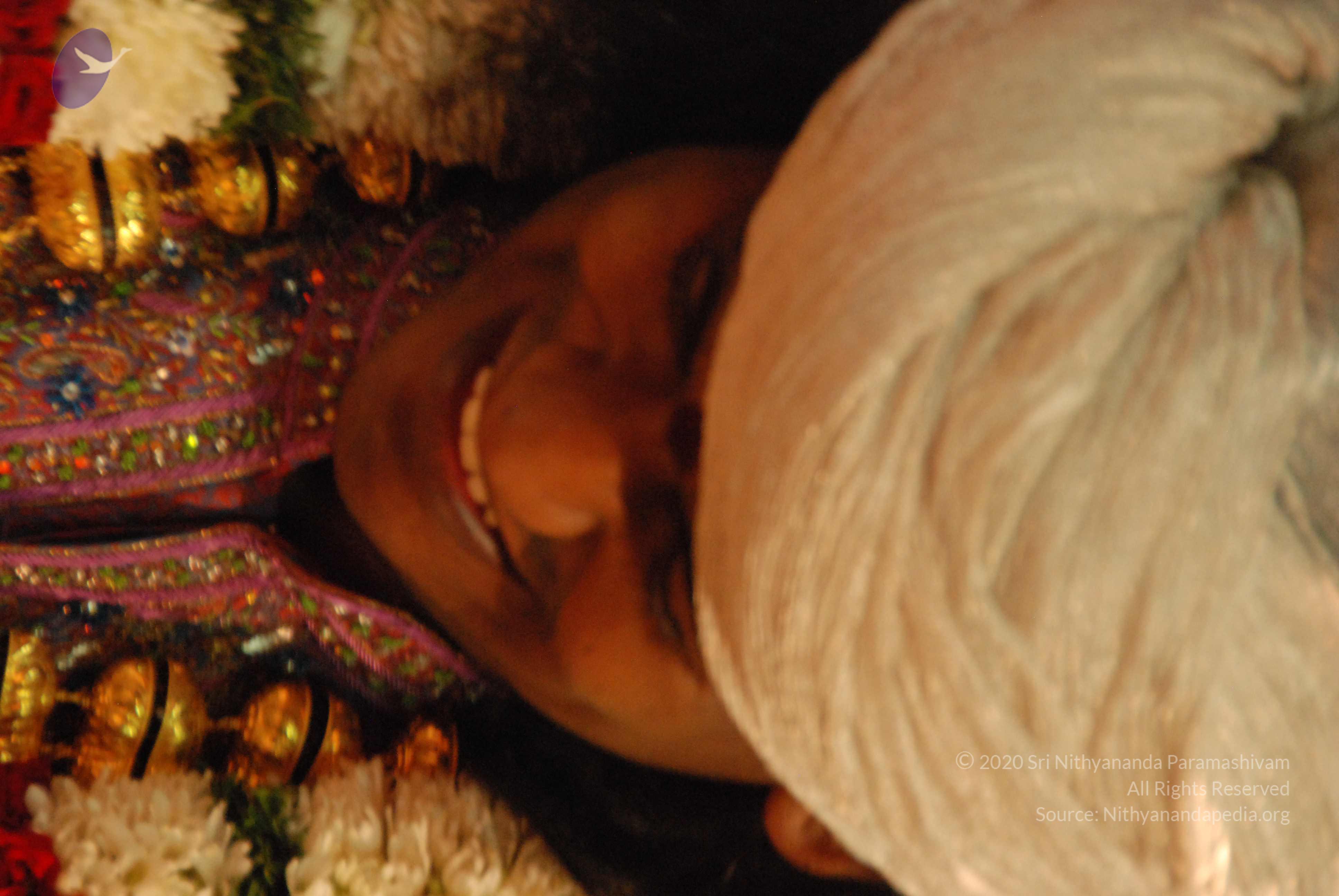 20100101_Photo_1488_DSC_2800_CMP_WM