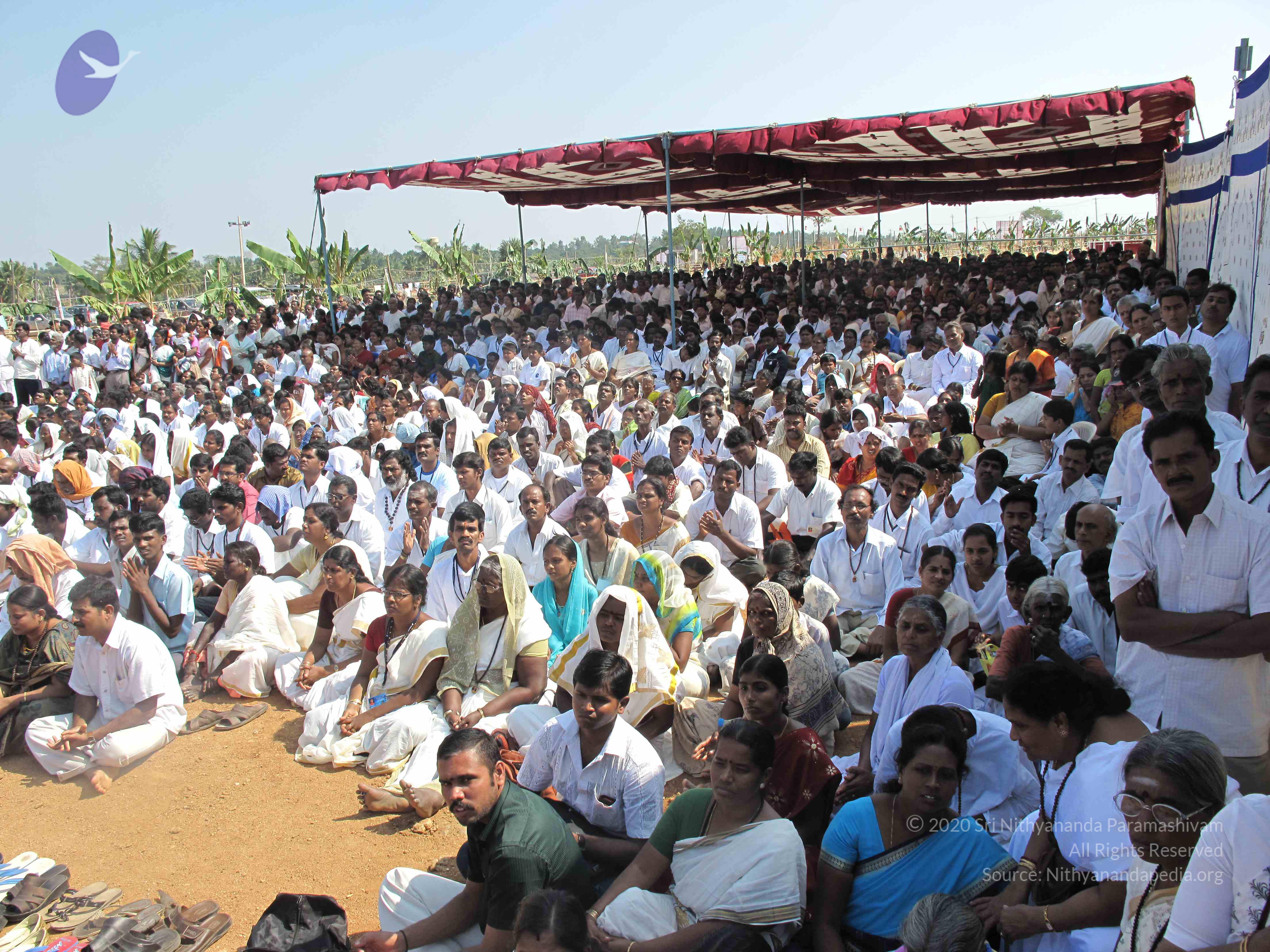 20100101_Photo_1505_IMG_1745_CMP_WM