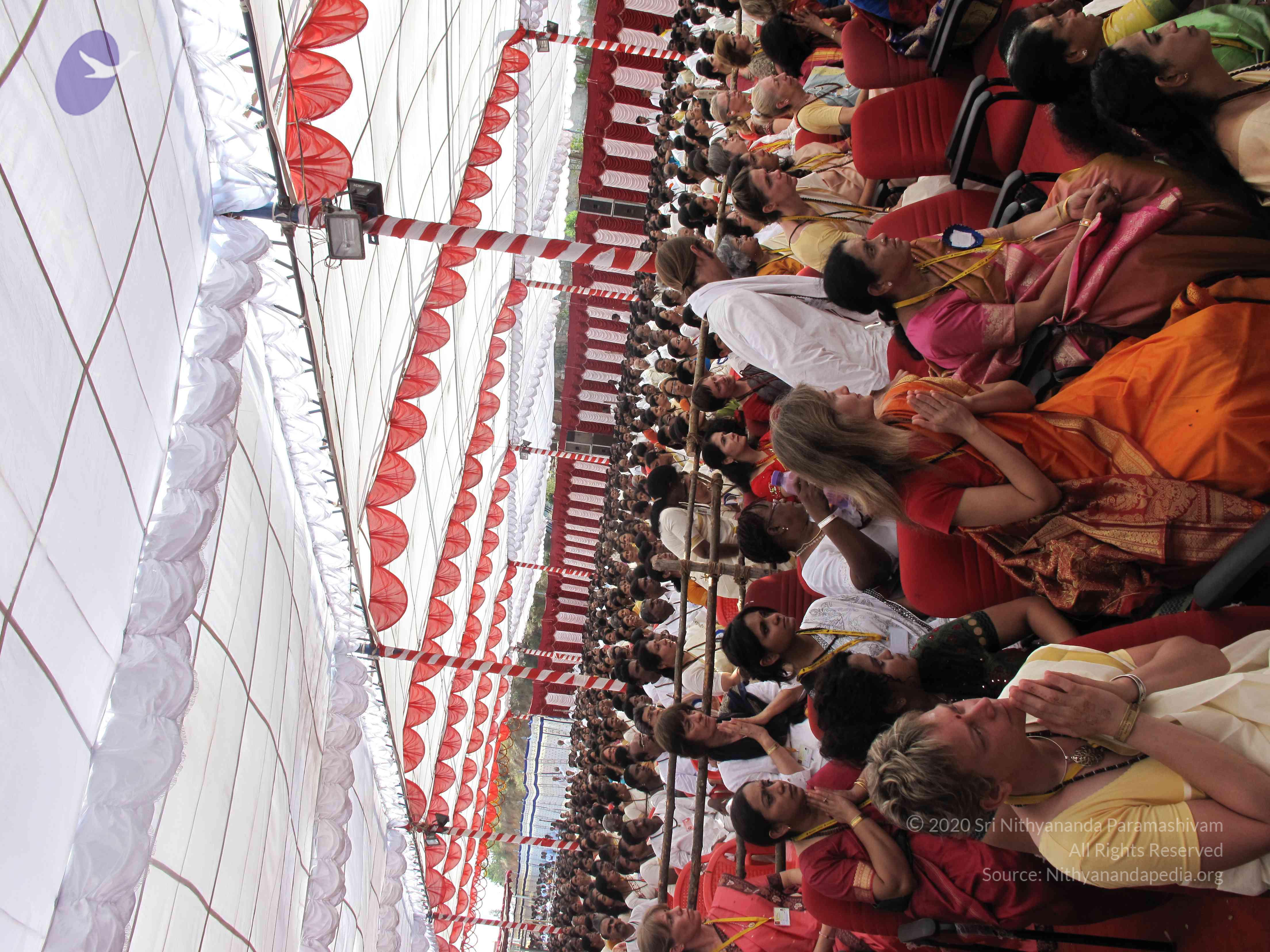 20100101_Photo_1506_IMG_1772_CMP_WM