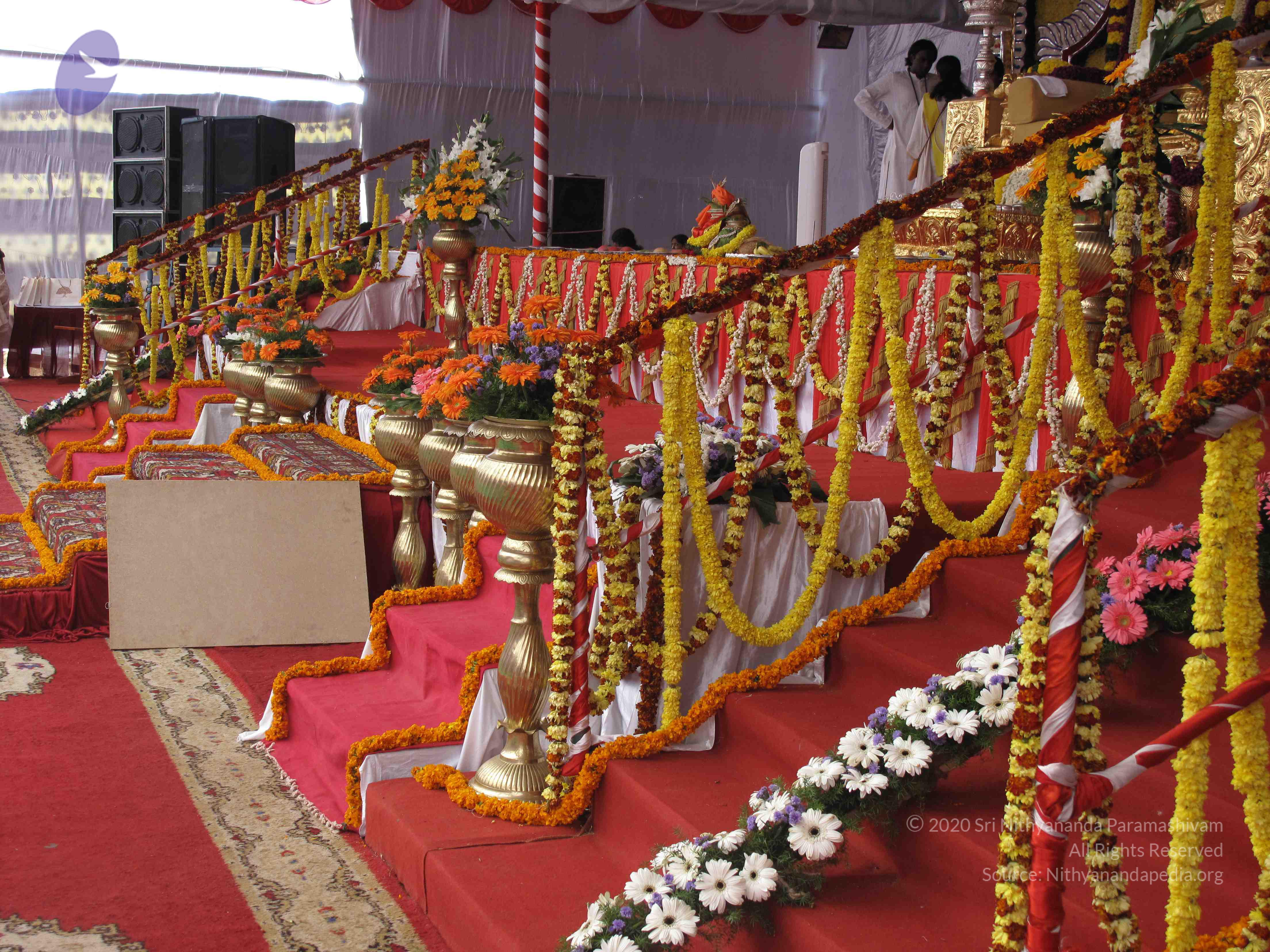 20100101_Photo_1511_IMG_1710_CMP_WM