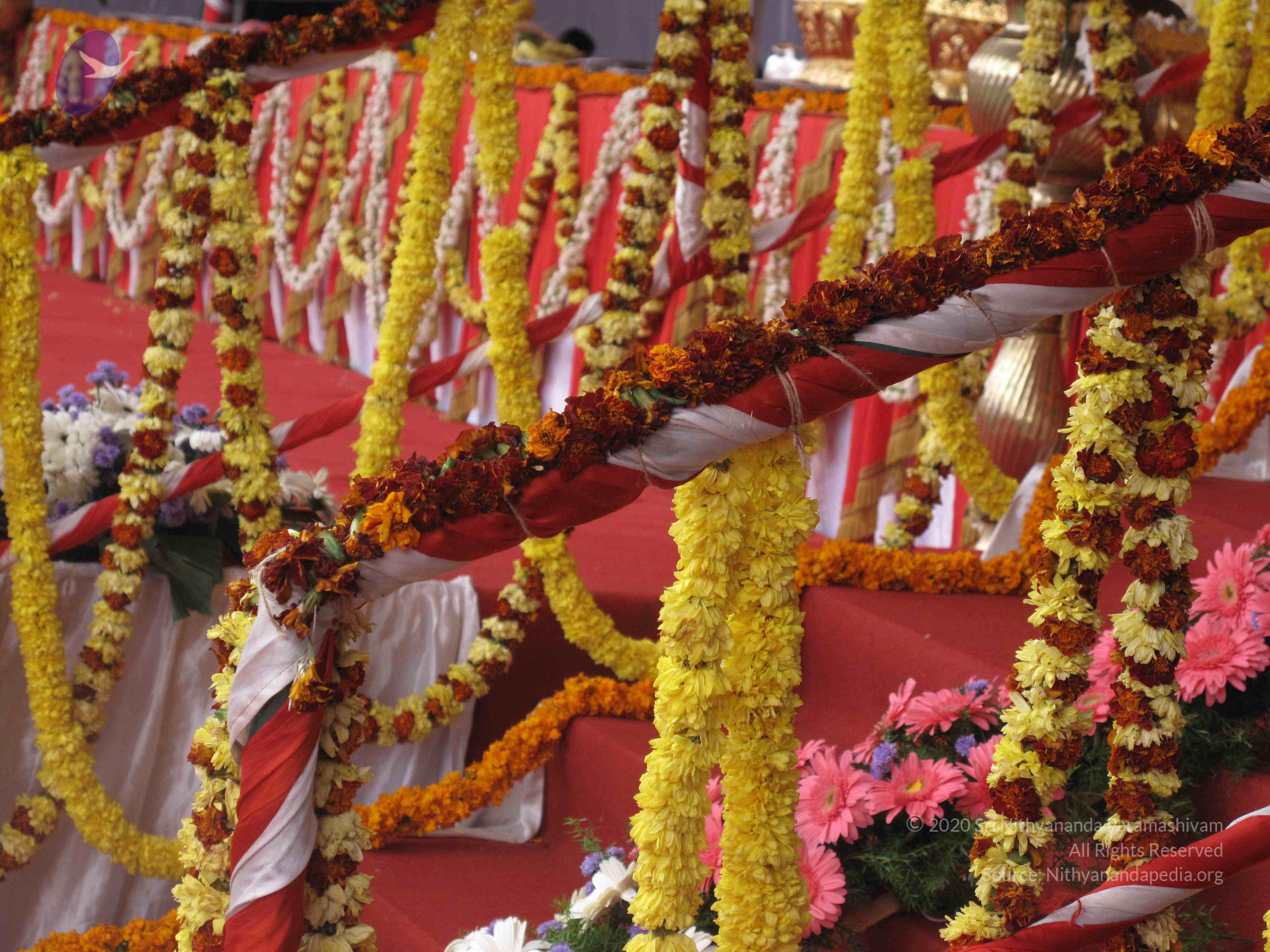 20100101_Photo_1557_IMG_1709_CMP_WM