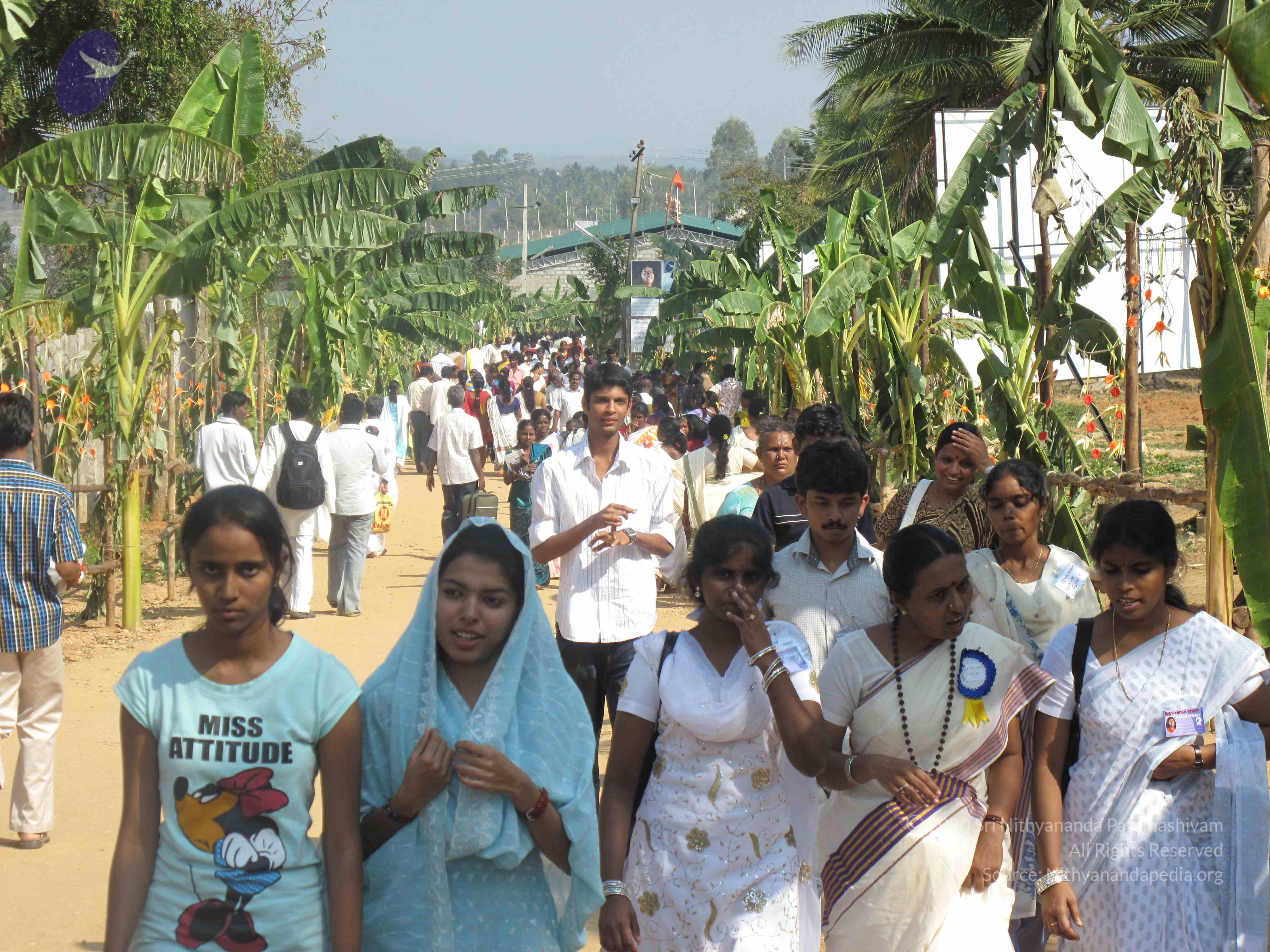 20100101_Photo_1567_IMG_1950_CMP_WM