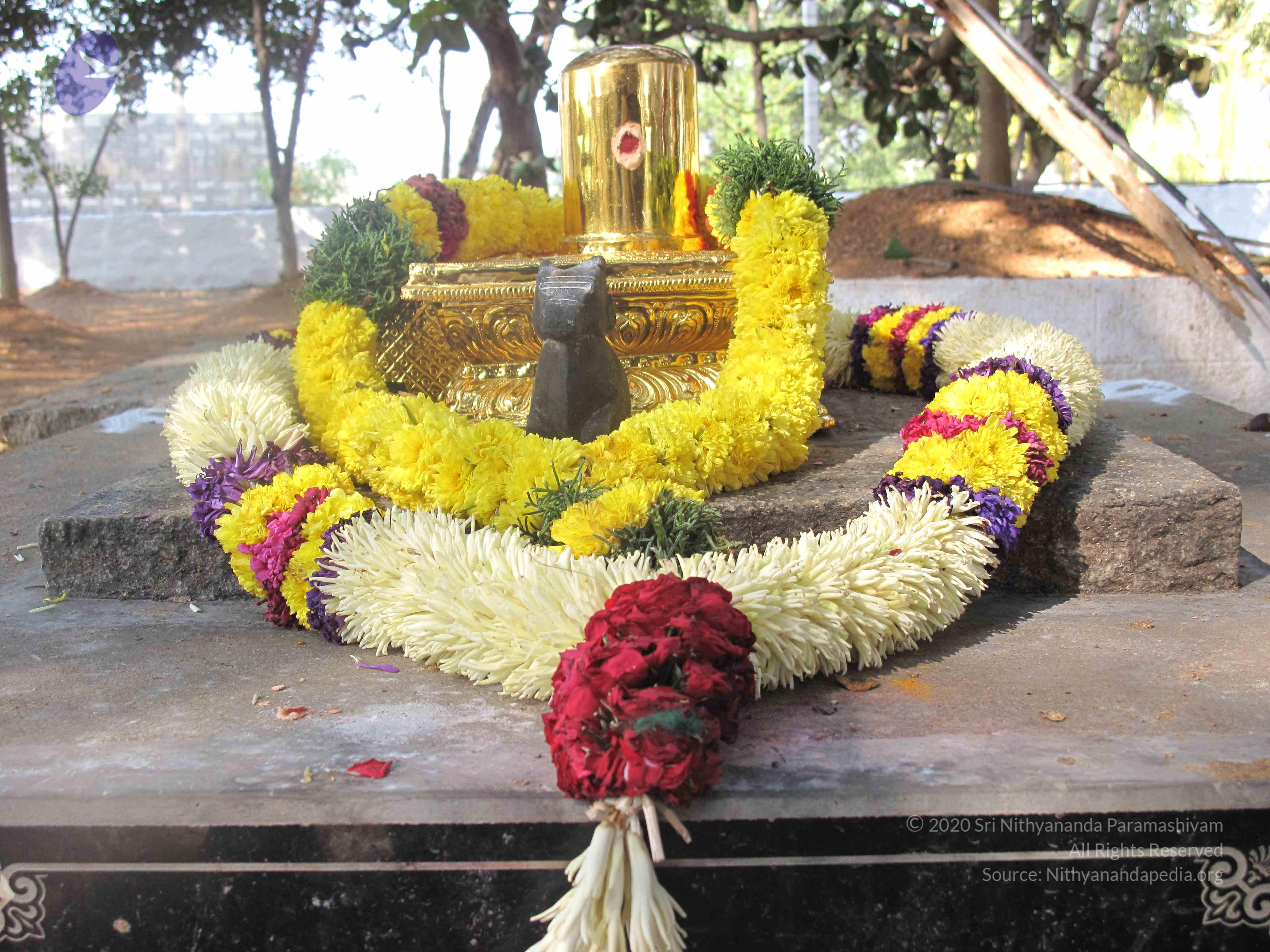 20100101_Photo_1577_IMG_1976_CMP_WM