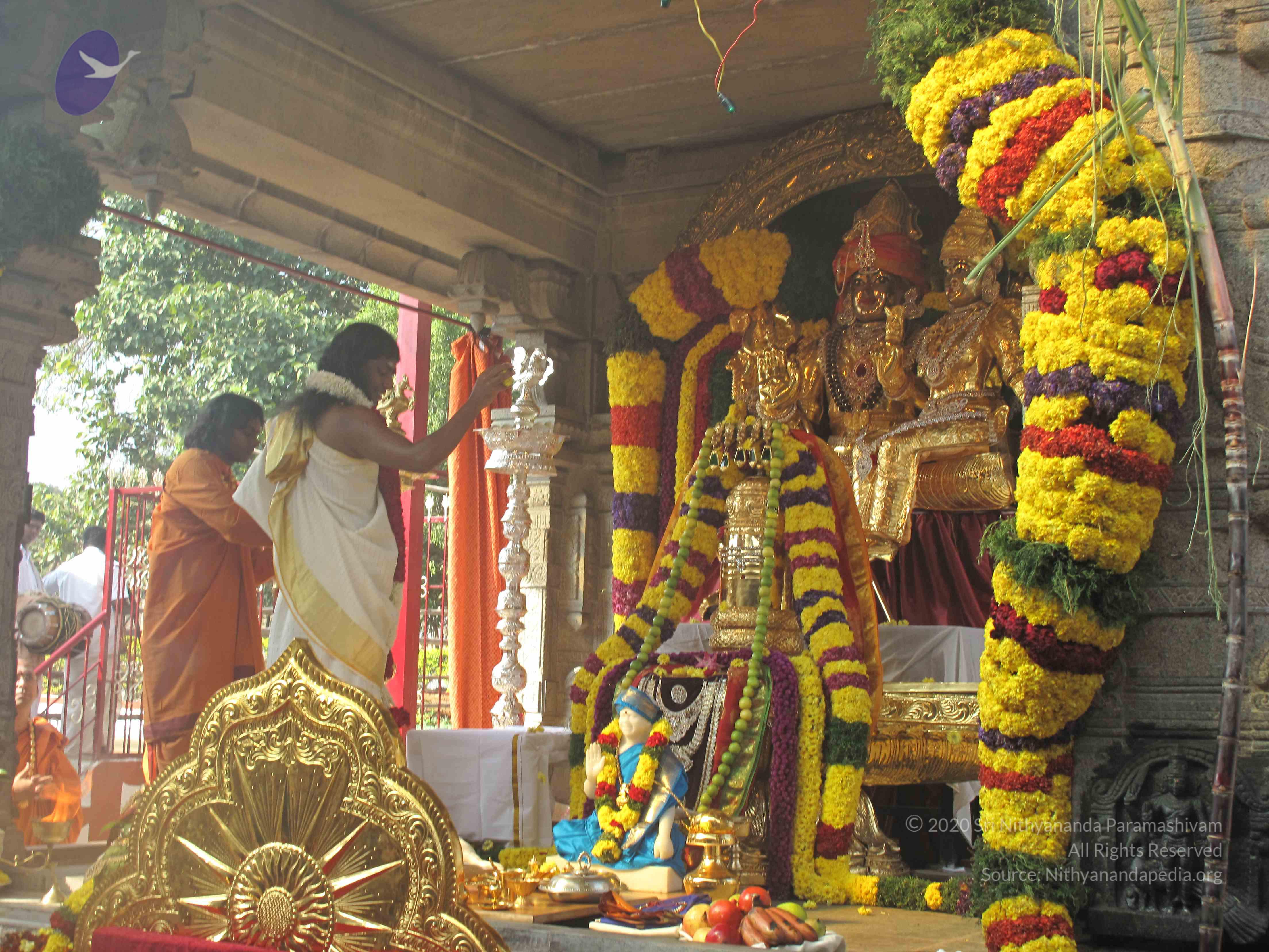 20100101_Photo_1000_IMG_1515_CMP_WM