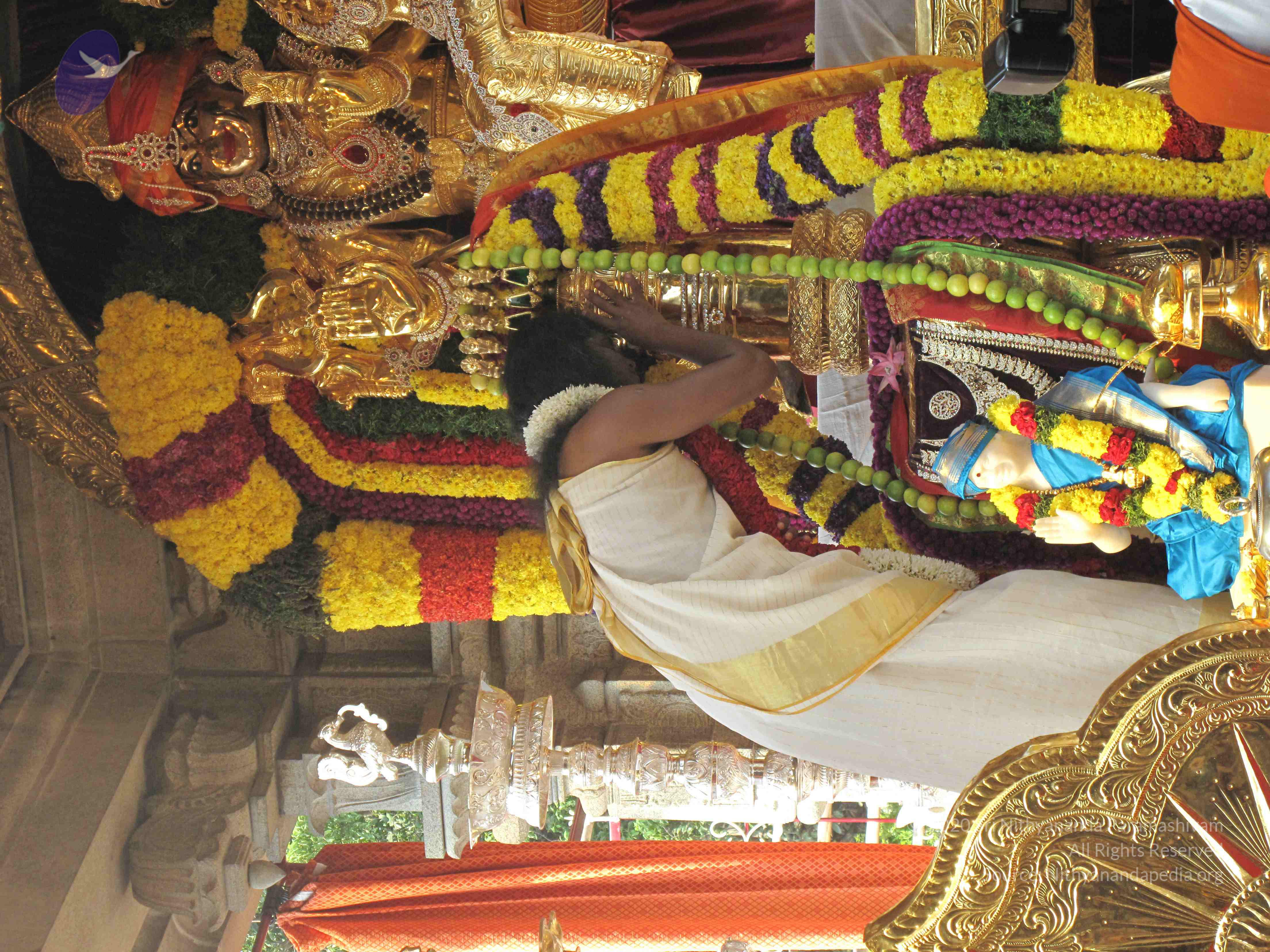 20100101_Photo_1007_IMG_1504_CMP_WM