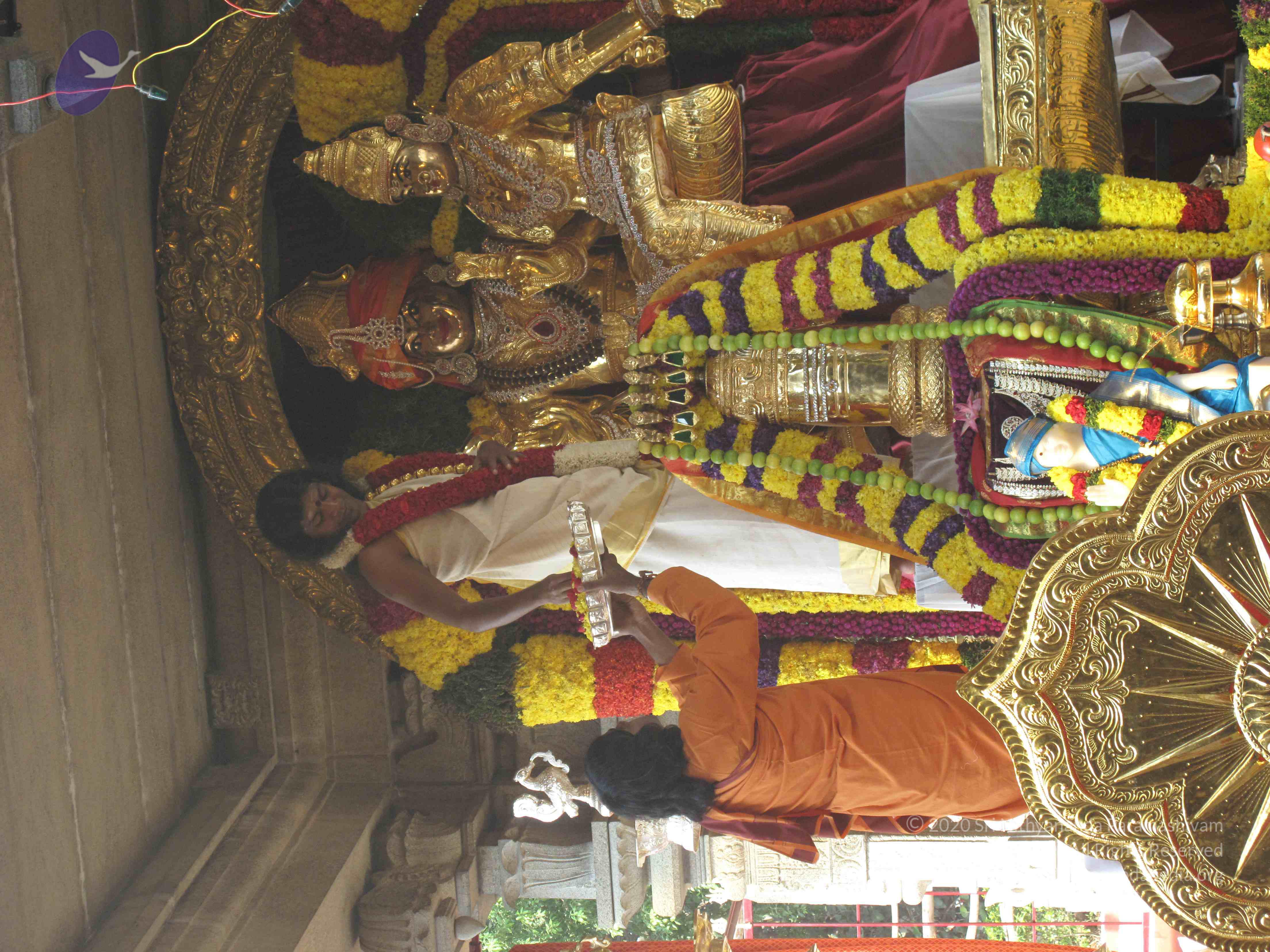 20100101_Photo_1012_IMG_1499_CMP_WM