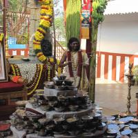 20100101_Photo_1019_IMG_1493_CMP_WM