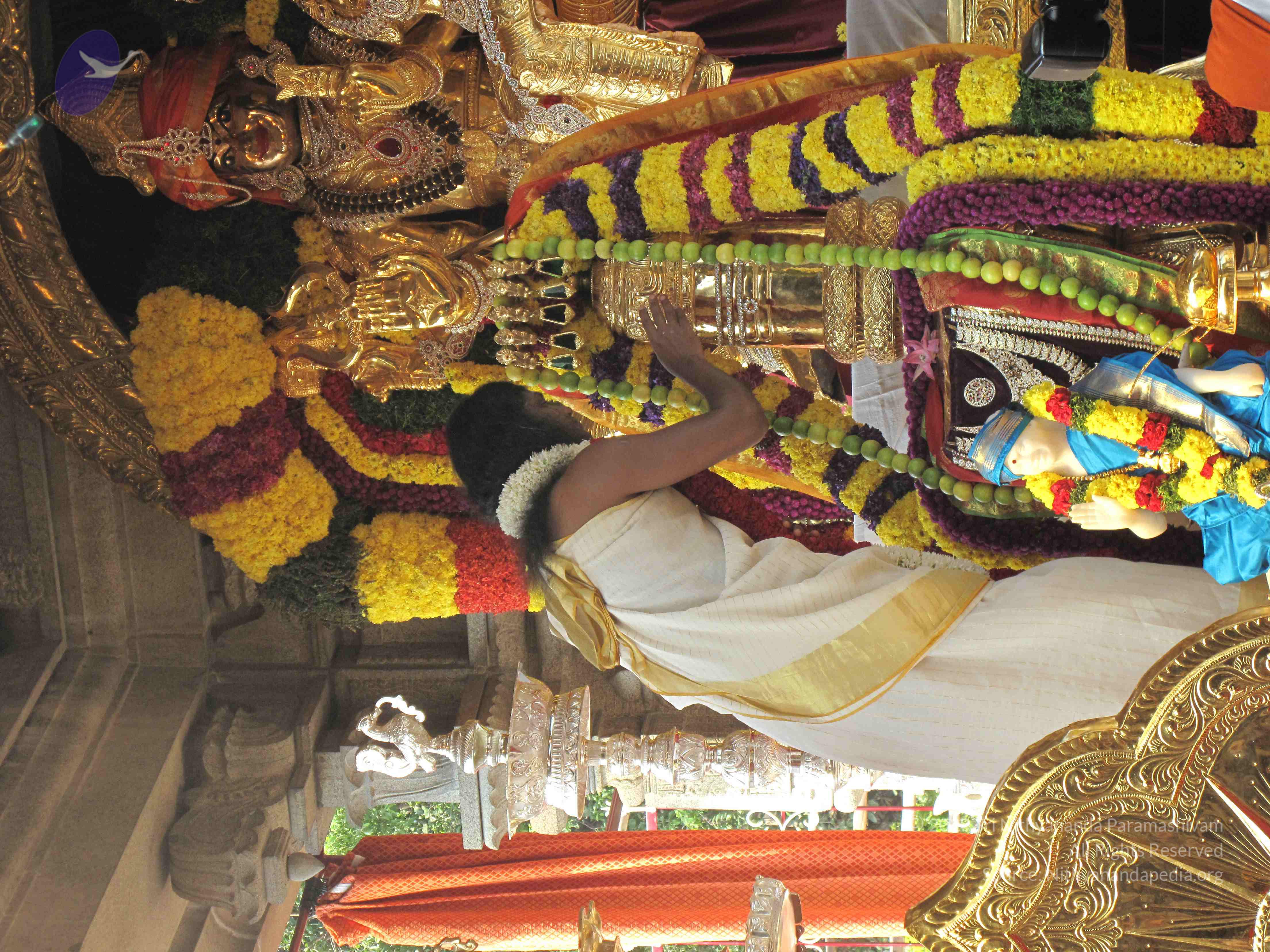 20100101_Photo_1021_IMG_1503_CMP_WM