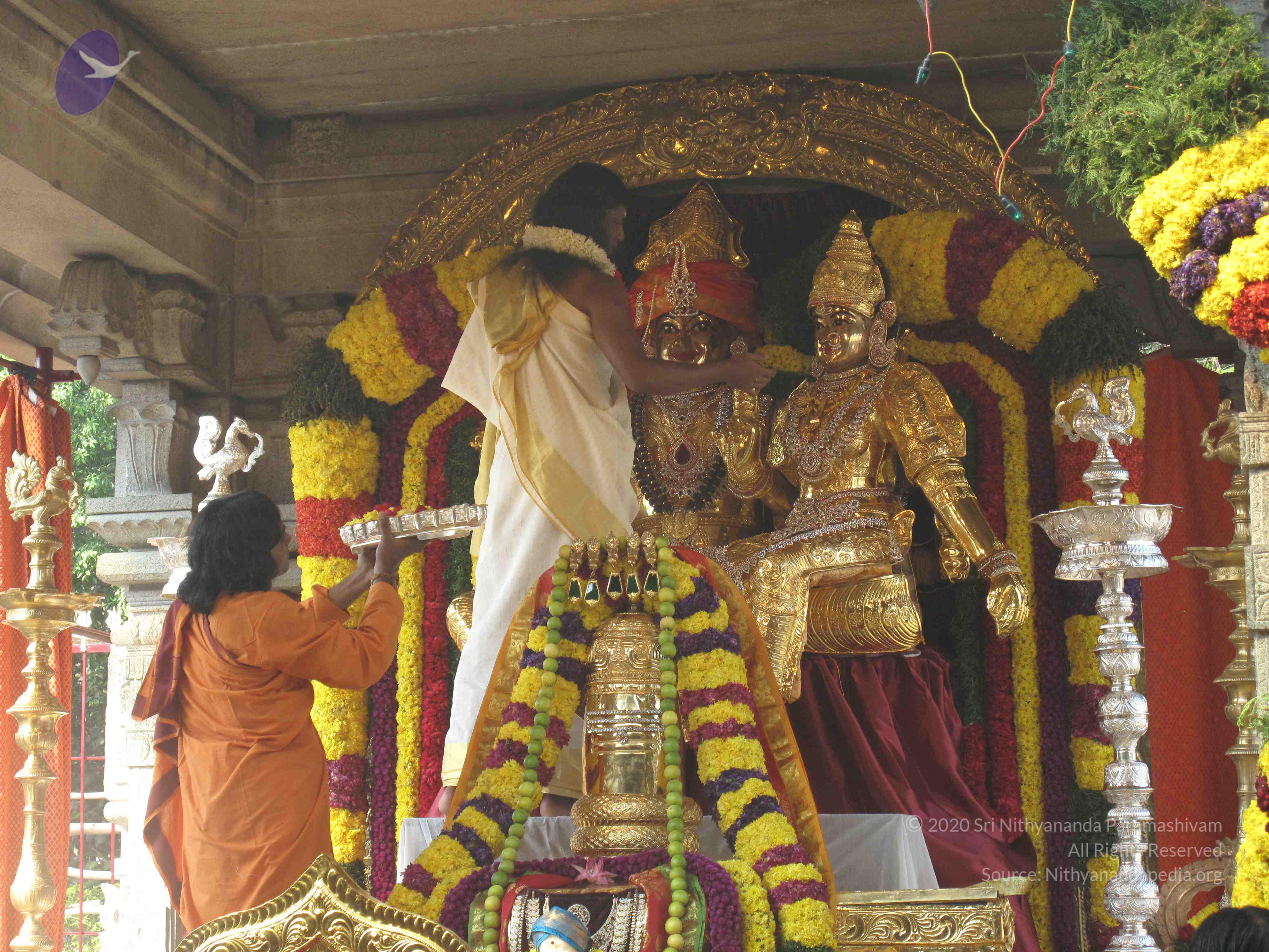 20100101_Photo_1022_IMG_1496_CMP_WM