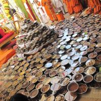 20100101_Photo_1023_IMG_1528_CMP_WM