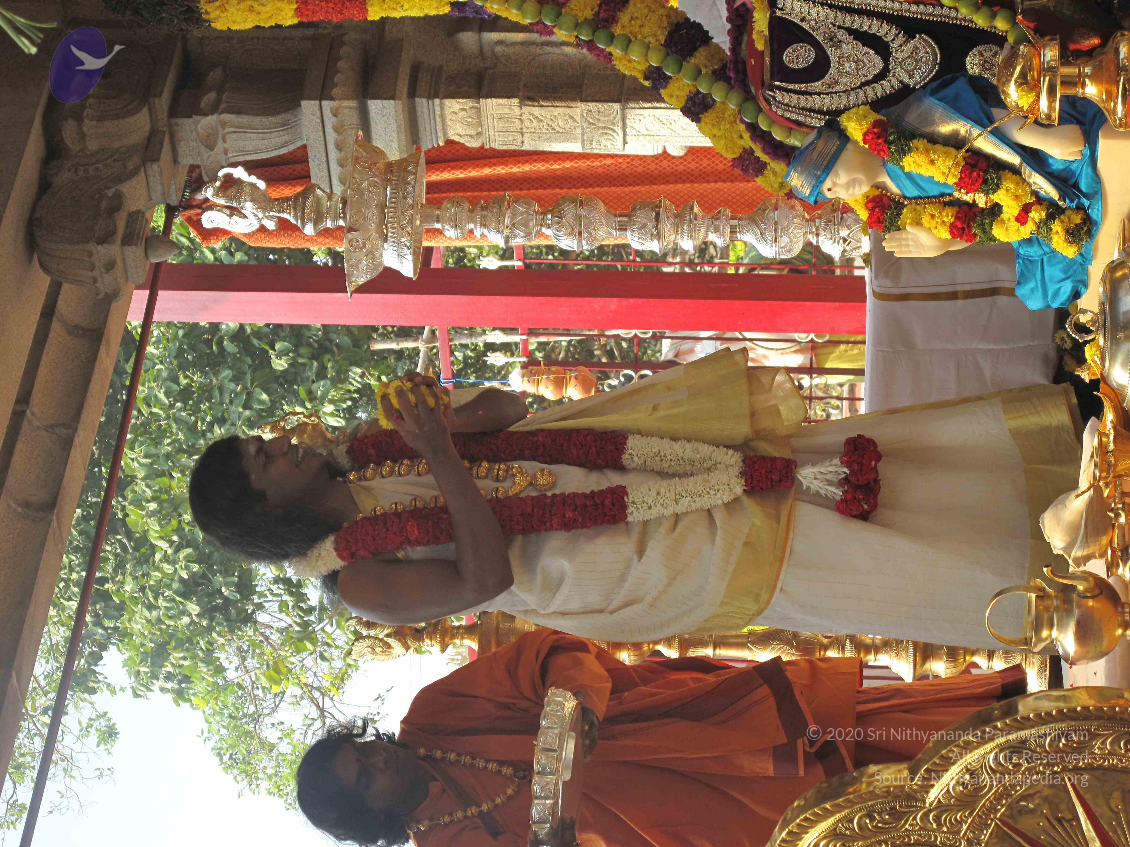 20100101_Photo_1025_IMG_1512_CMP_WM