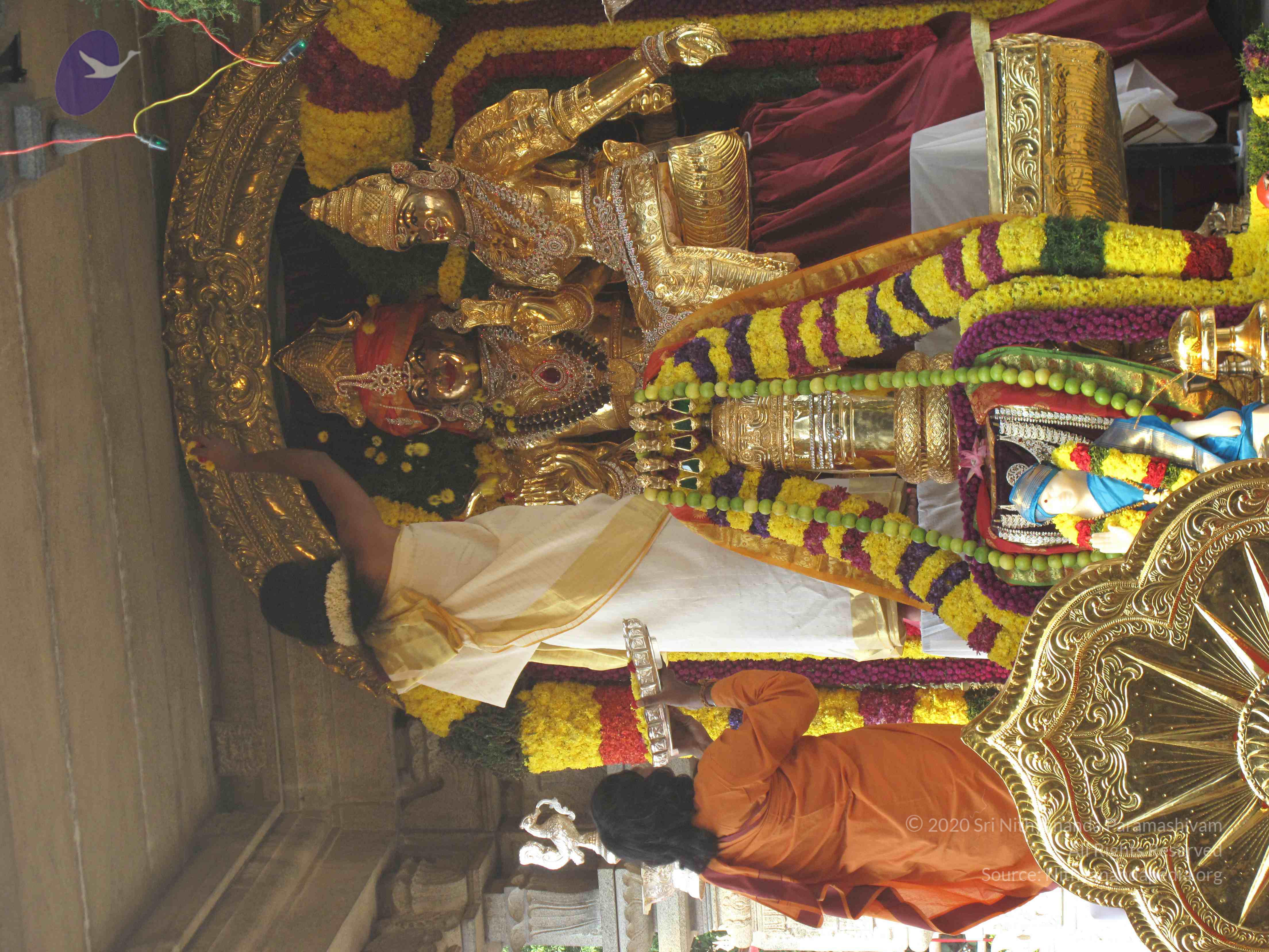 20100101_Photo_1028_IMG_1500_CMP_WM